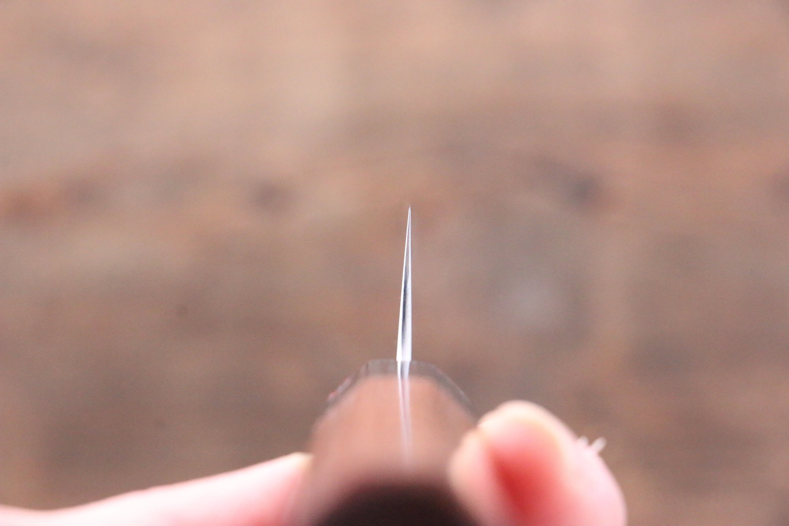 Shibata Takayuki Koutetsu SG2 Petty-Utility 150mm Jarrah Handle - Japanny - Best Japanese Knife