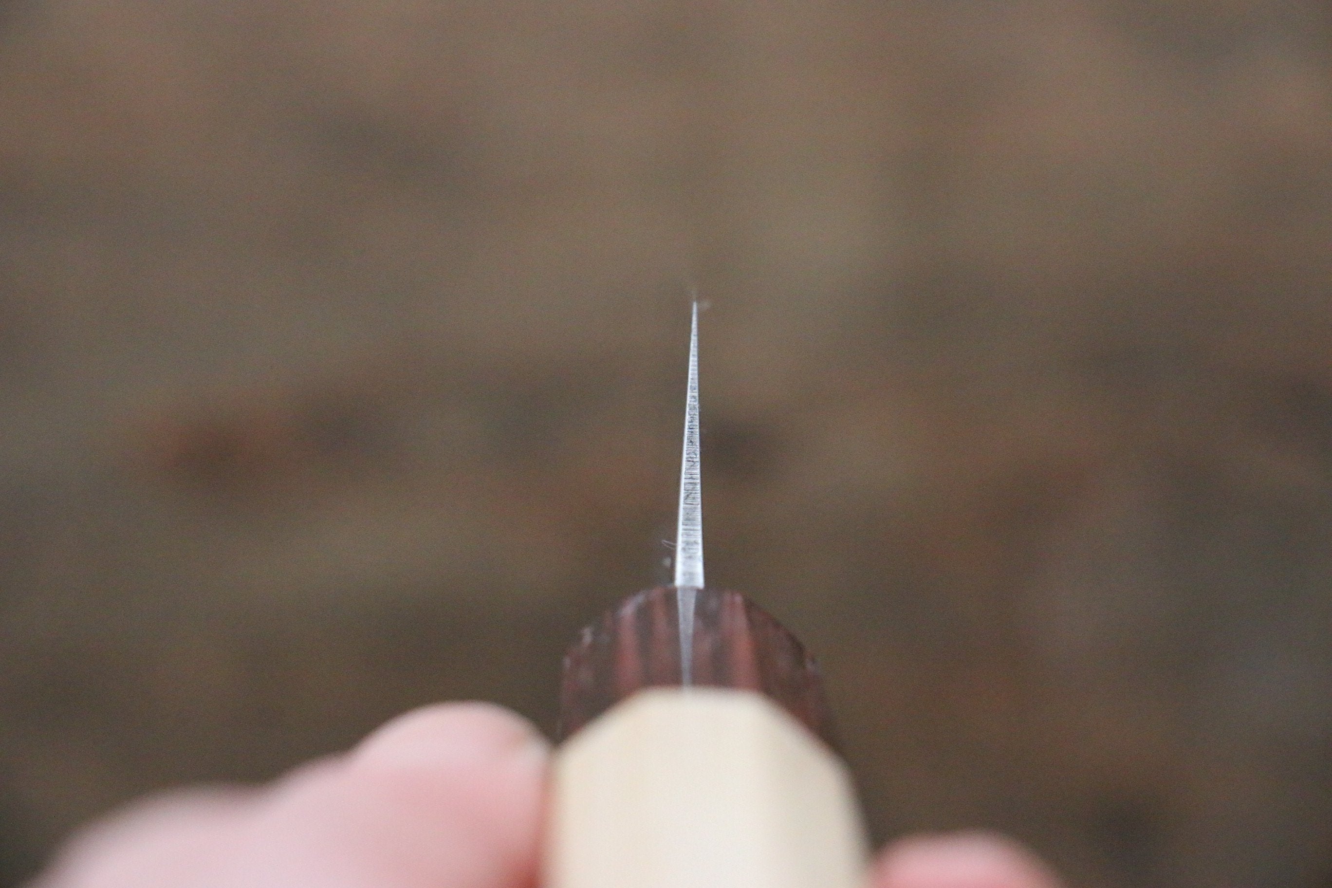 Sakai Takayuki VG10 33 Layer Damascus Steak 120mm with Keyaki Handle(Japanese Elm) Set of 4 - Japanny - Best Japanese Knife