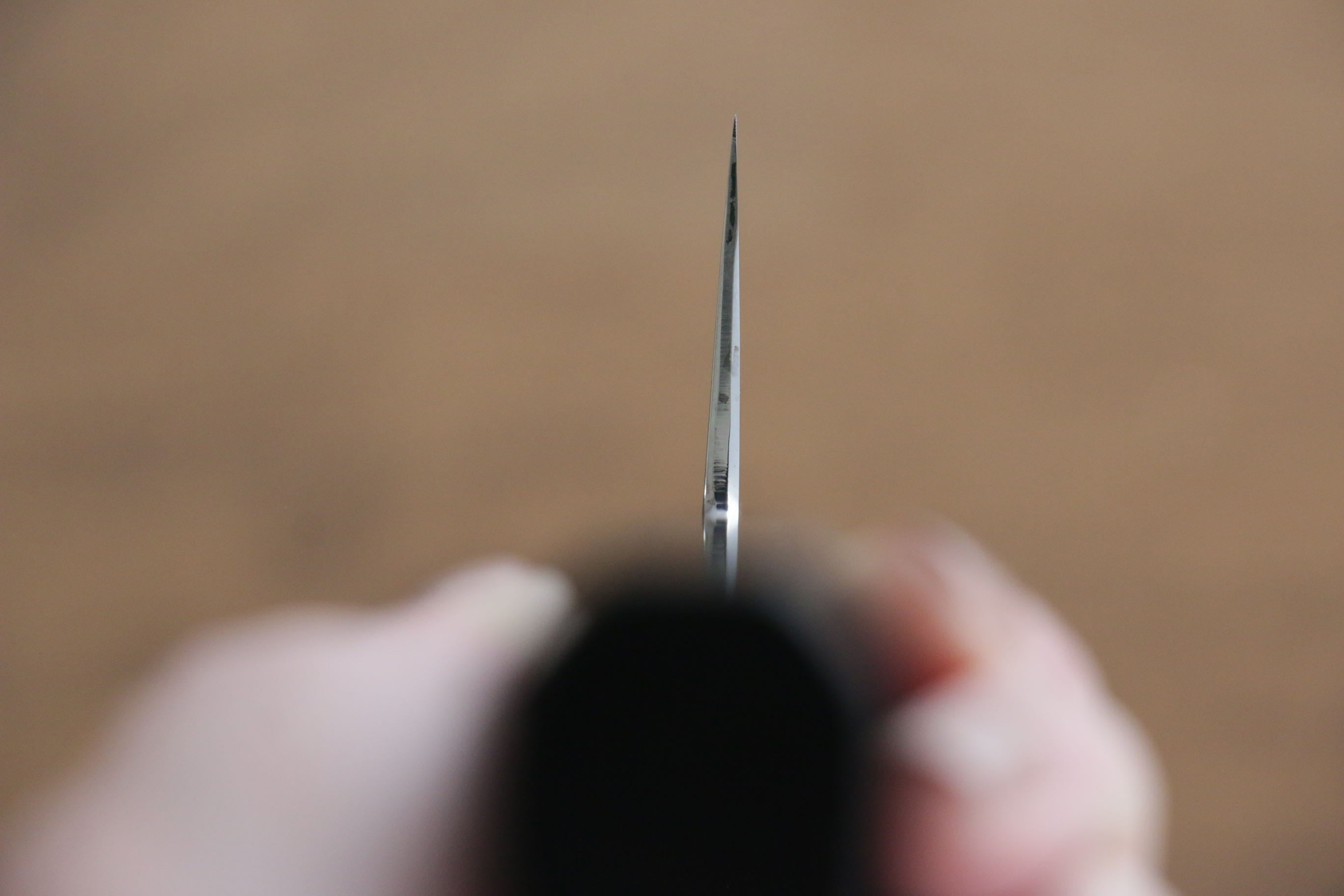 Jikko Fujisan Honyaki White Steel No.3 Kasumitogi Kiritsuke Gyuto 210mm Ebony Wood Handle - Japanny - Best Japanese Knife