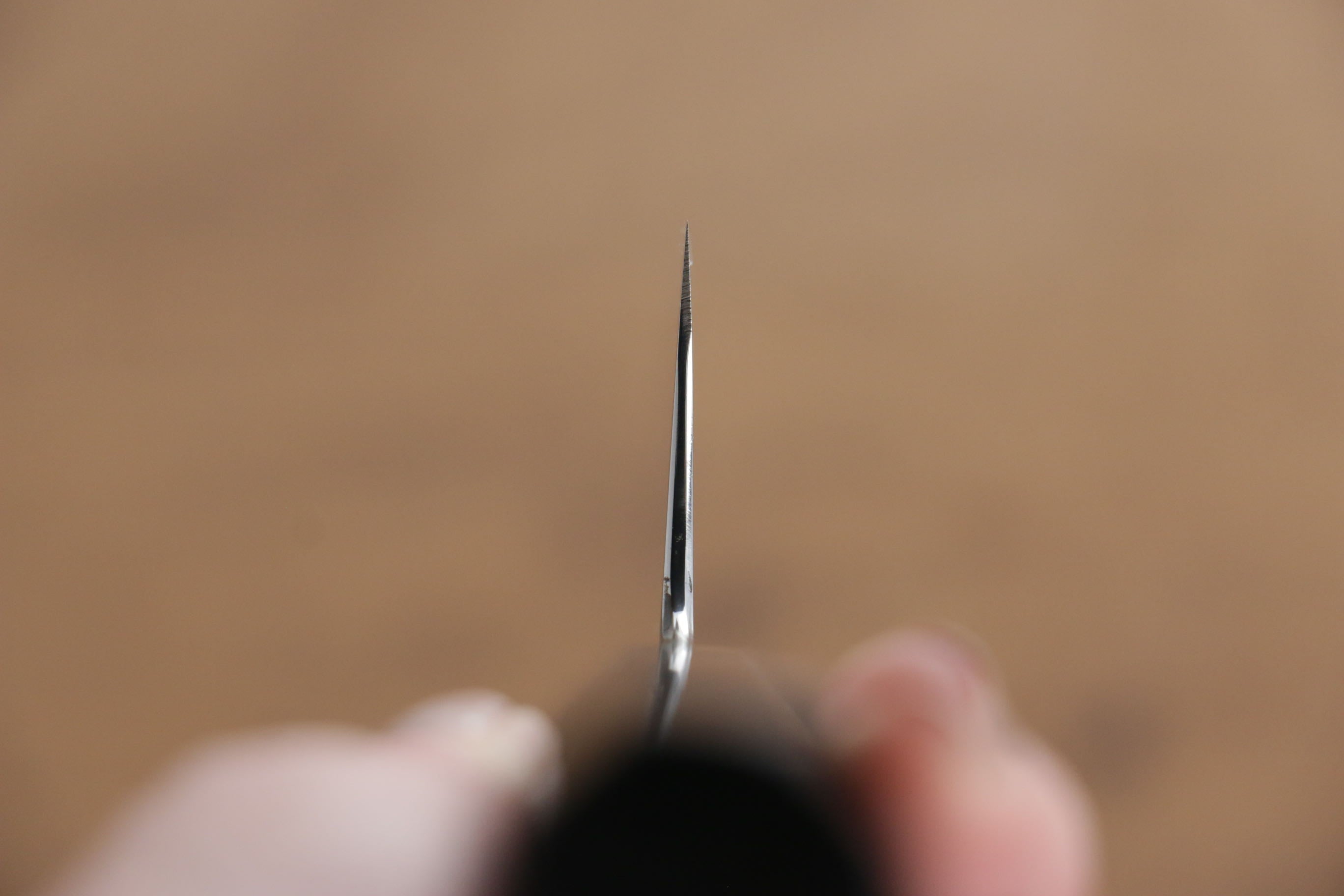 Jikko Honyaki White Steel No.3 Mirrored Finish Kiritsuke Gyuto 210mm Ebony Wood Handle - Japanny - Best Japanese Knife