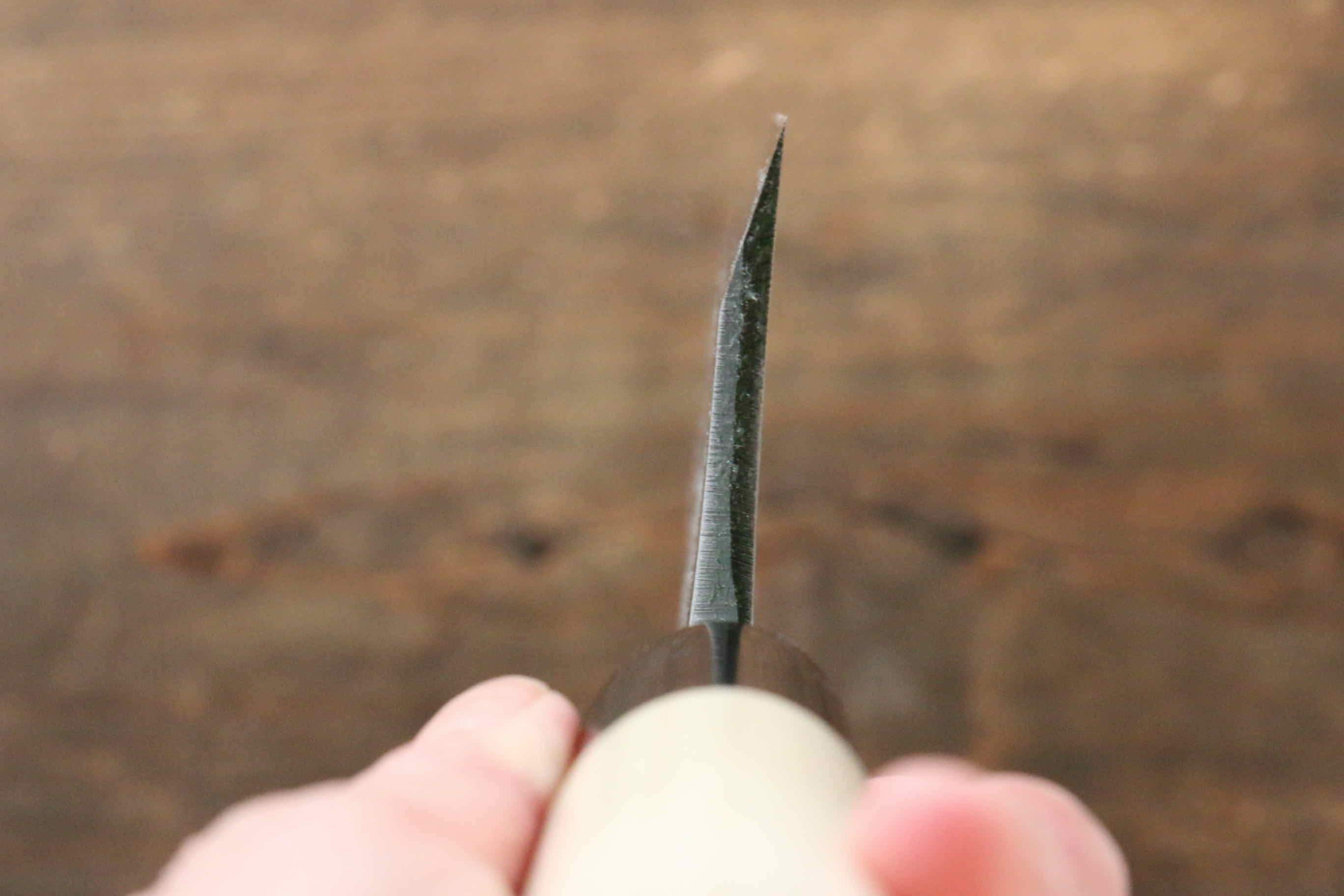 Sakai Takayuki Kasumitogi White Steel Turtle engraving Deba Magnolia Handle - Japanny - Best Japanese Knife