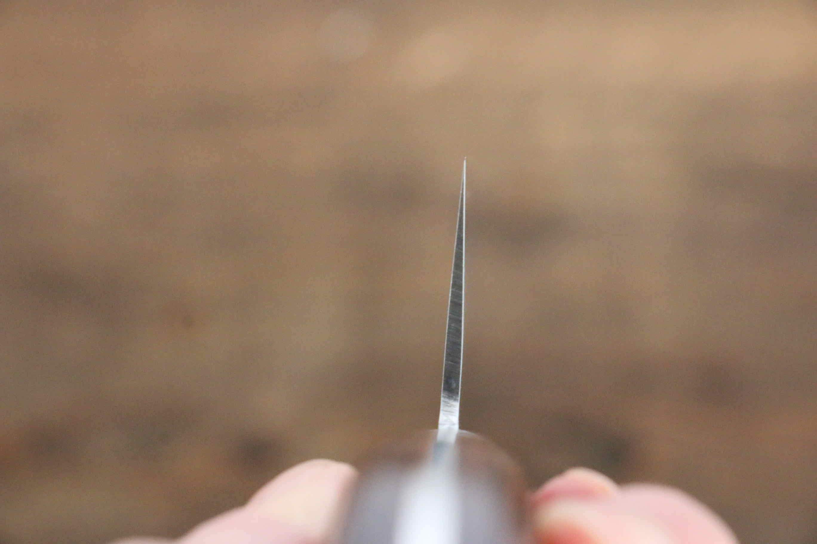 Jikko VG10 17 Layer Gyuto 210mm Mahogany Handle - Japanny - Best Japanese Knife