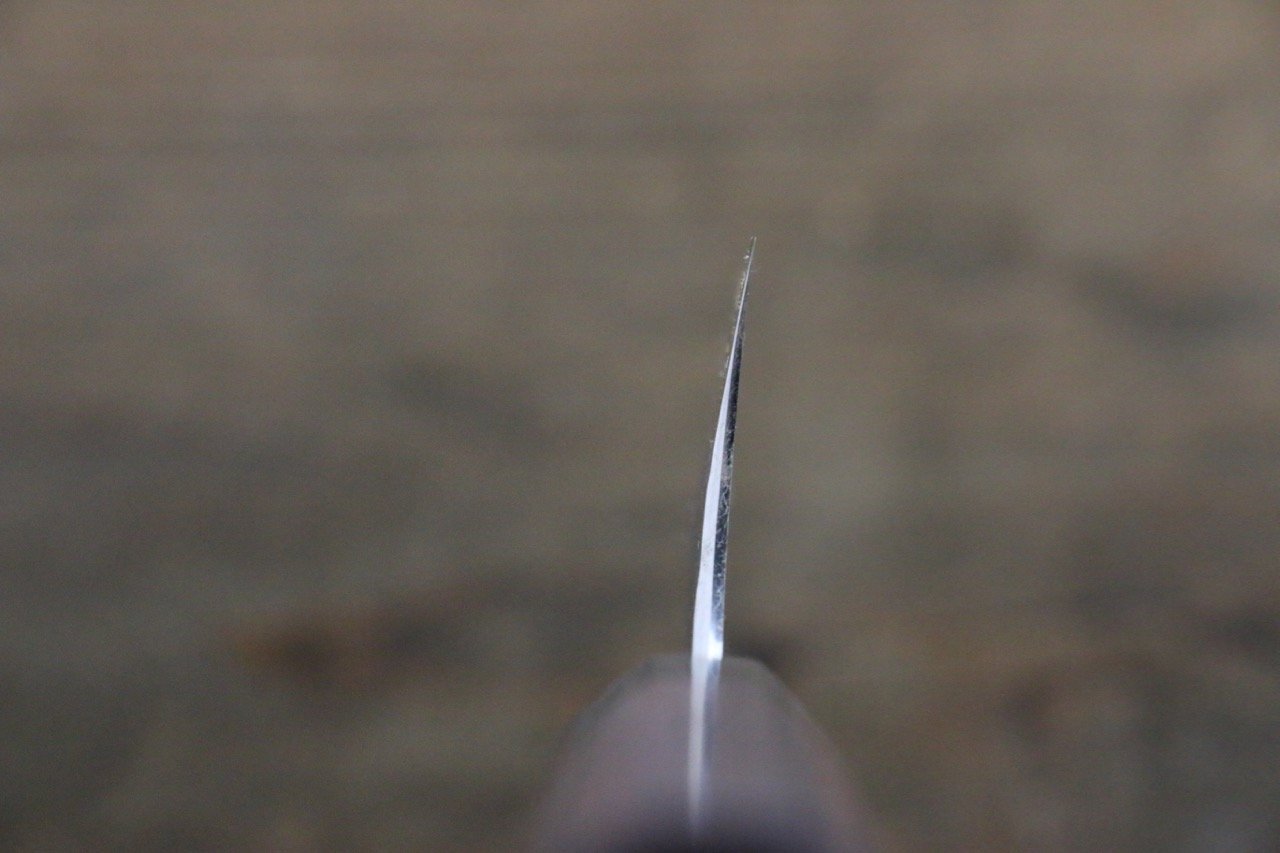 Seisuke Blue Steel No.2 Hammered Kurouchi Gyuto 210mm Shitan Handle - Japanny - Best Japanese Knife