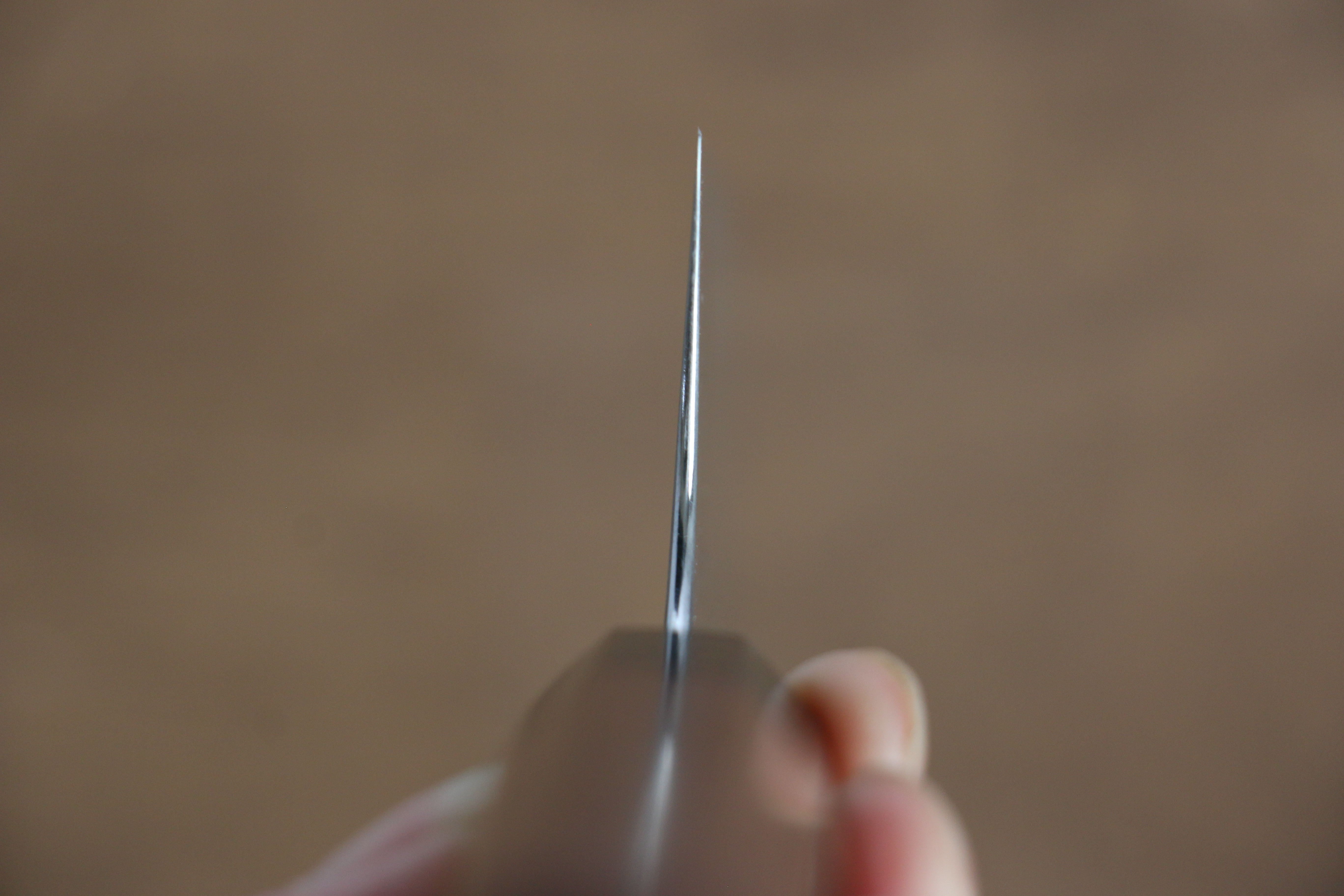 Shibata Takayuki Koutetsu SG2 Gyuto 195mm Jarrah Handle - Japanny - Best Japanese Knife