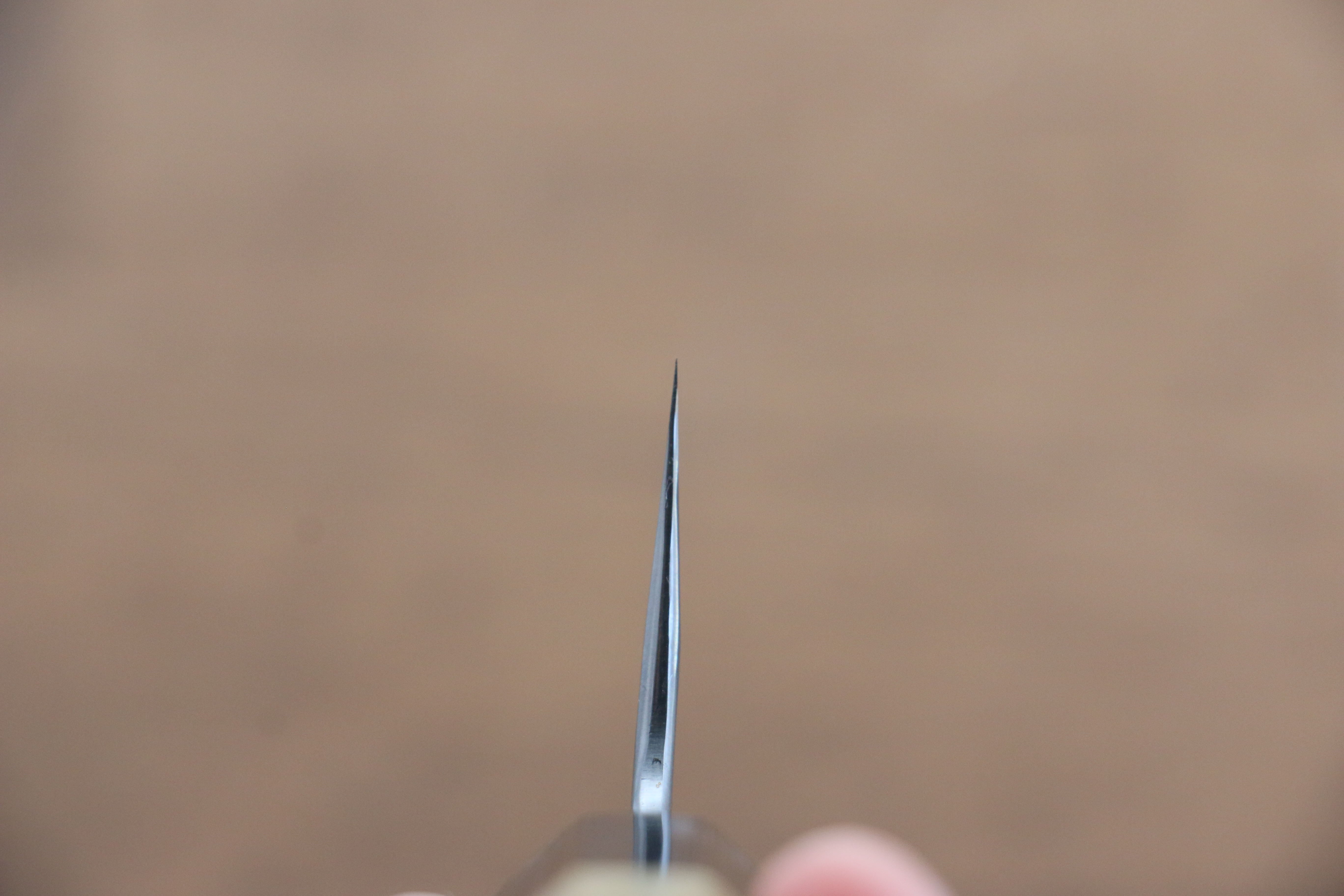 Kikuzuki White Steel No.2 Kasumitogi Gyuto 210mm Magnolia Handle - Japanny - Best Japanese Knife