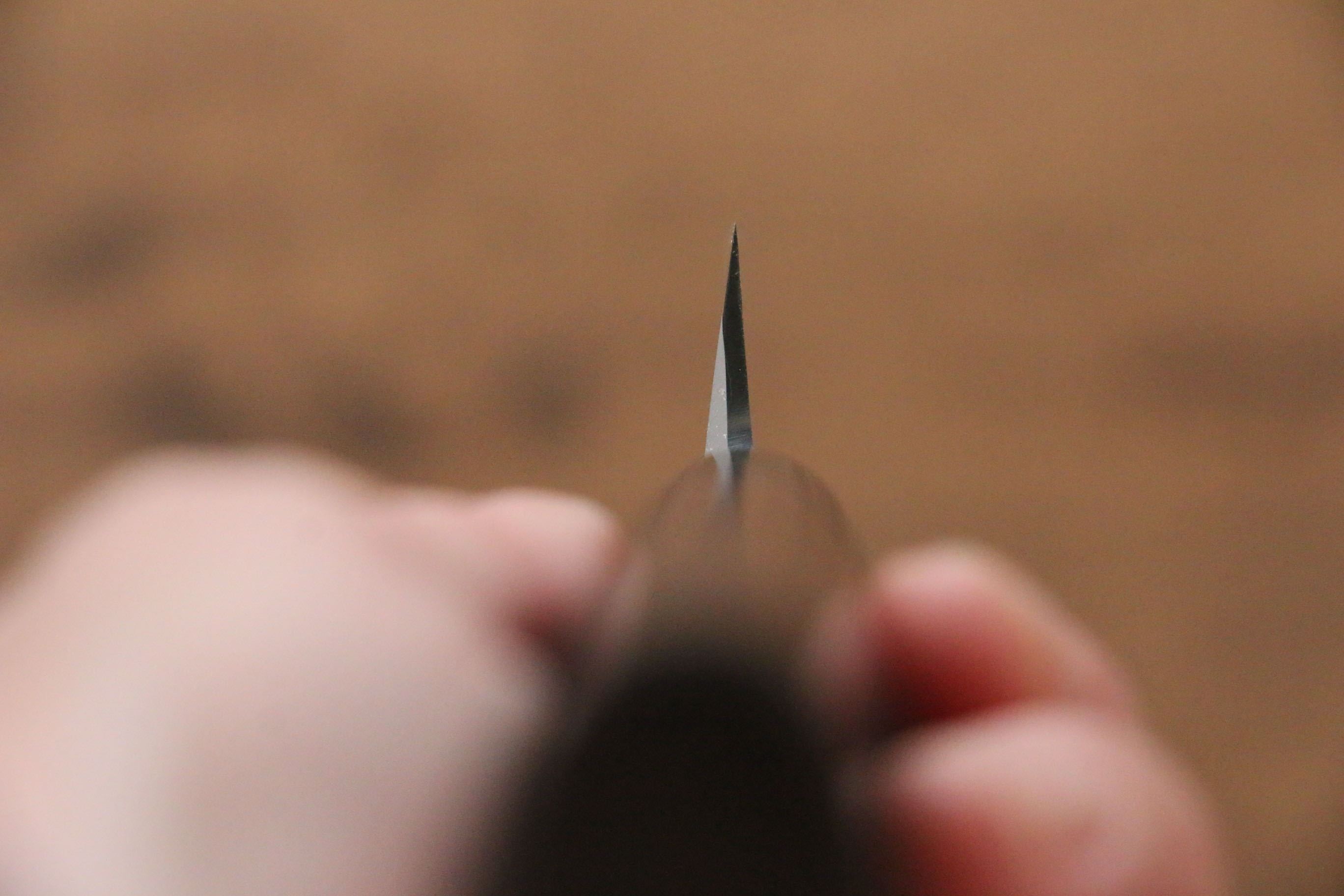 Jikko White Steel No.2 Yanagiba 210mm Shitan Handle - Japanny - Best Japanese Knife