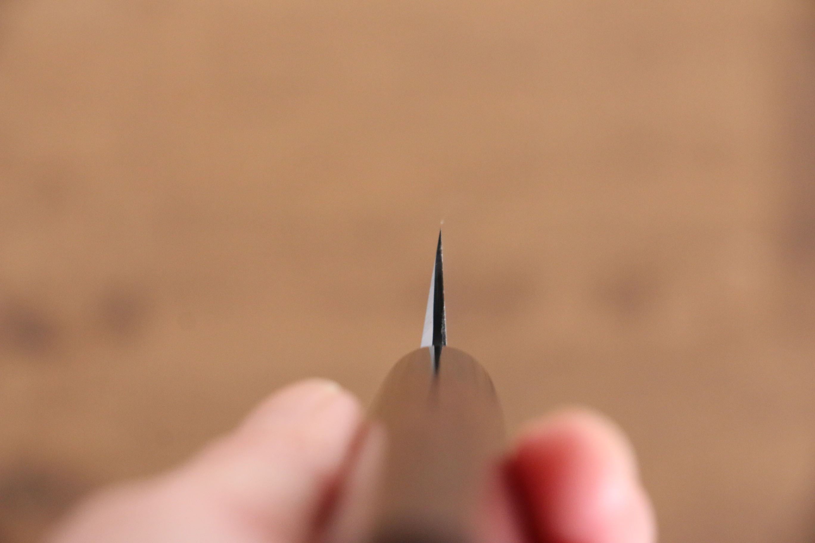 Jikko White Steel No.2 Kiritsuke Yanagiba 210mm Shitan Handle - Japanny - Best Japanese Knife