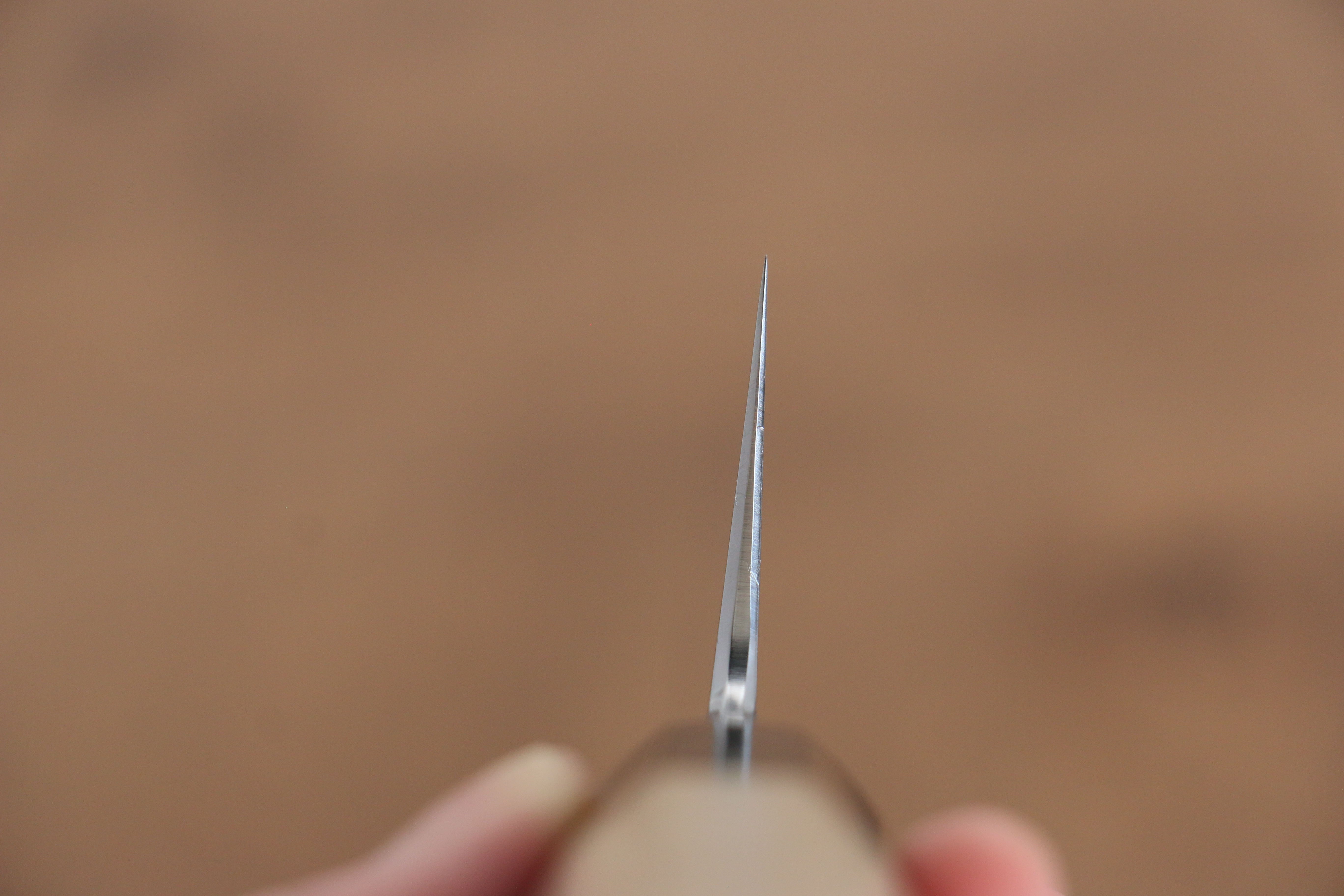 Kikuzuki Blue Steel No.1 Damascus Gyuto 210mm Magnolia Handle - Japanny - Best Japanese Knife