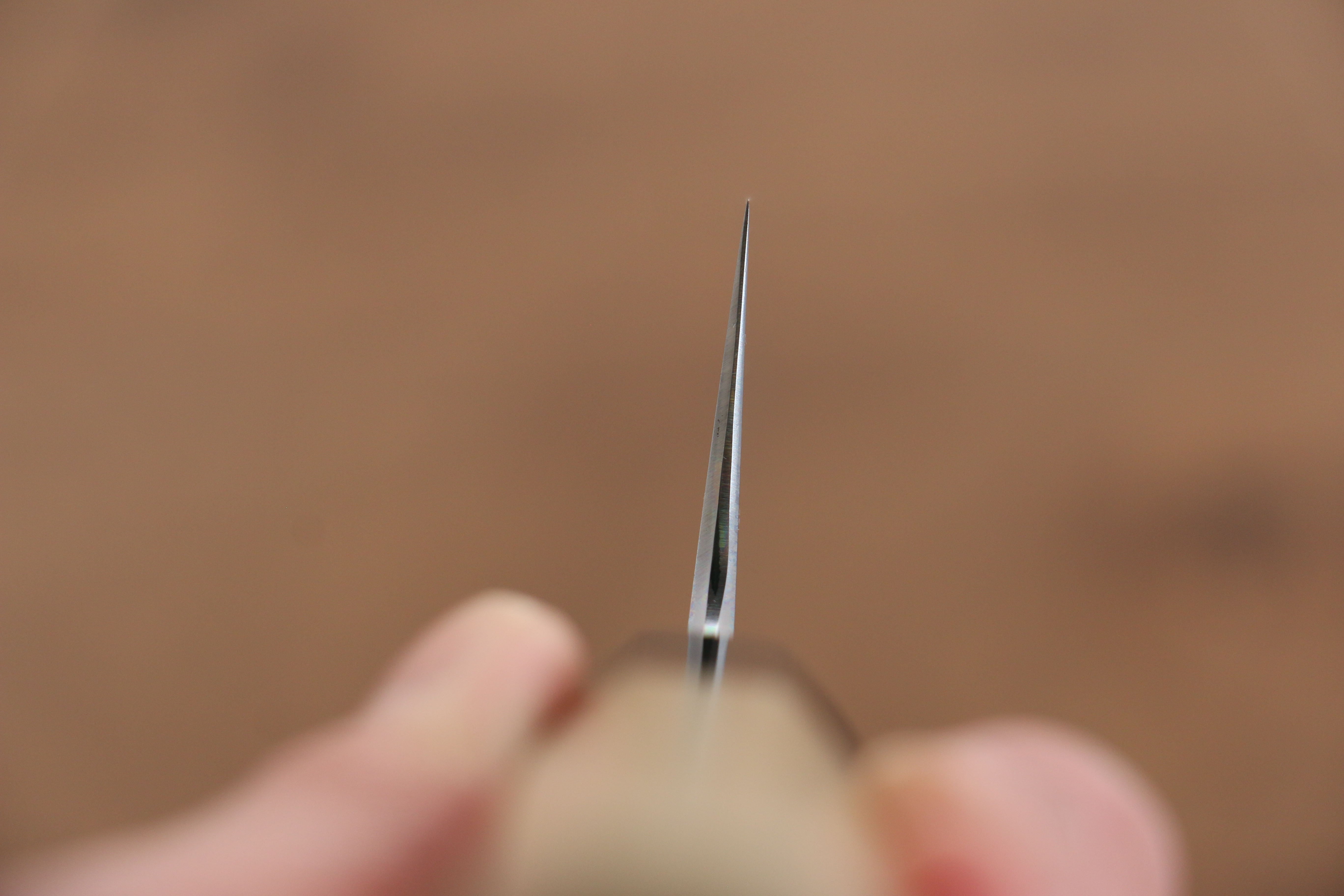 Kikuzuki Blue Steel No.1 Damascus Kiritsuke Gyuto 240mm Magnolia Handle - Japanny - Best Japanese Knife