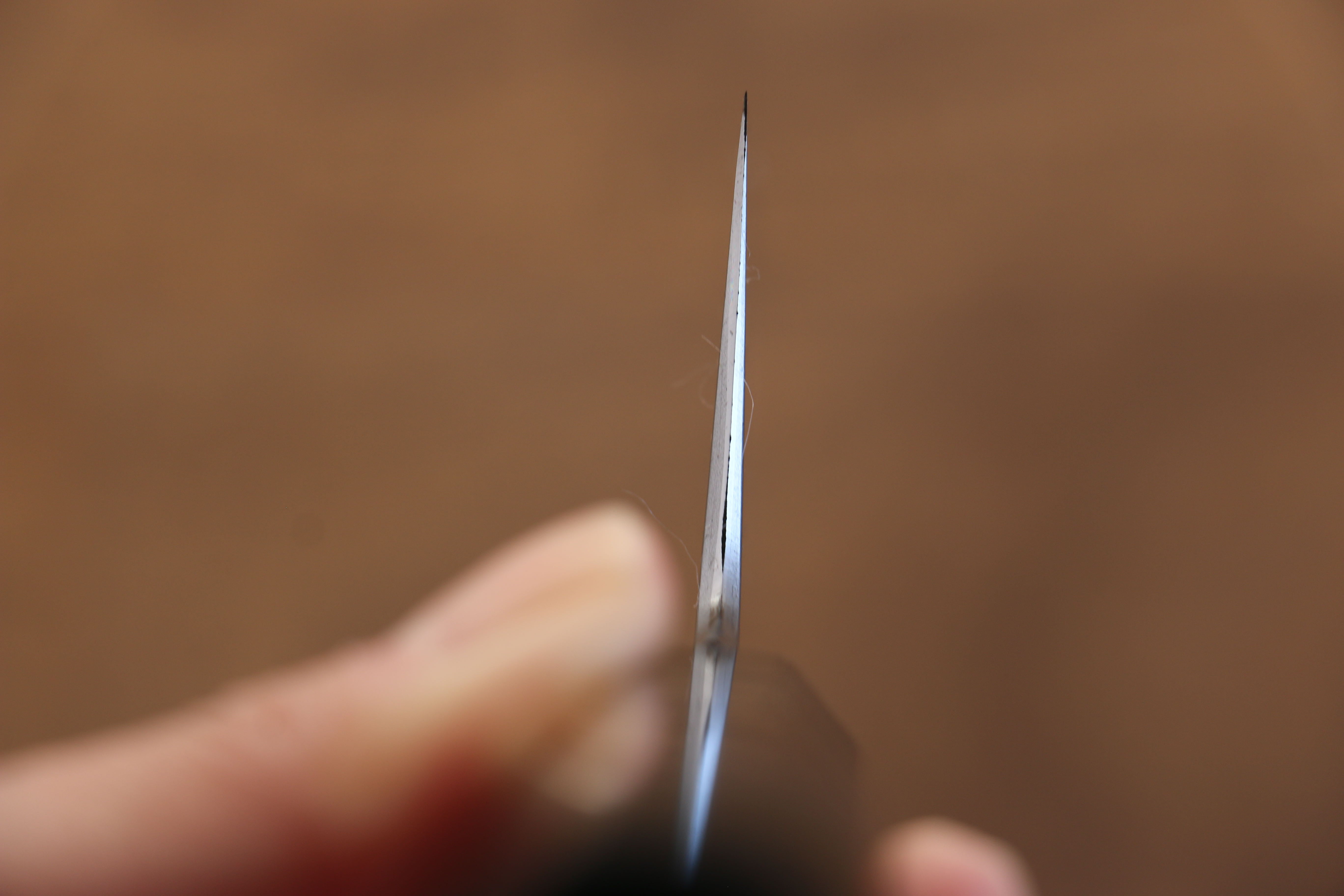 Jikko Blue Steel Damascus Gyuto 210mm Ebony with Double Ring Handle - Japanny - Best Japanese Knife