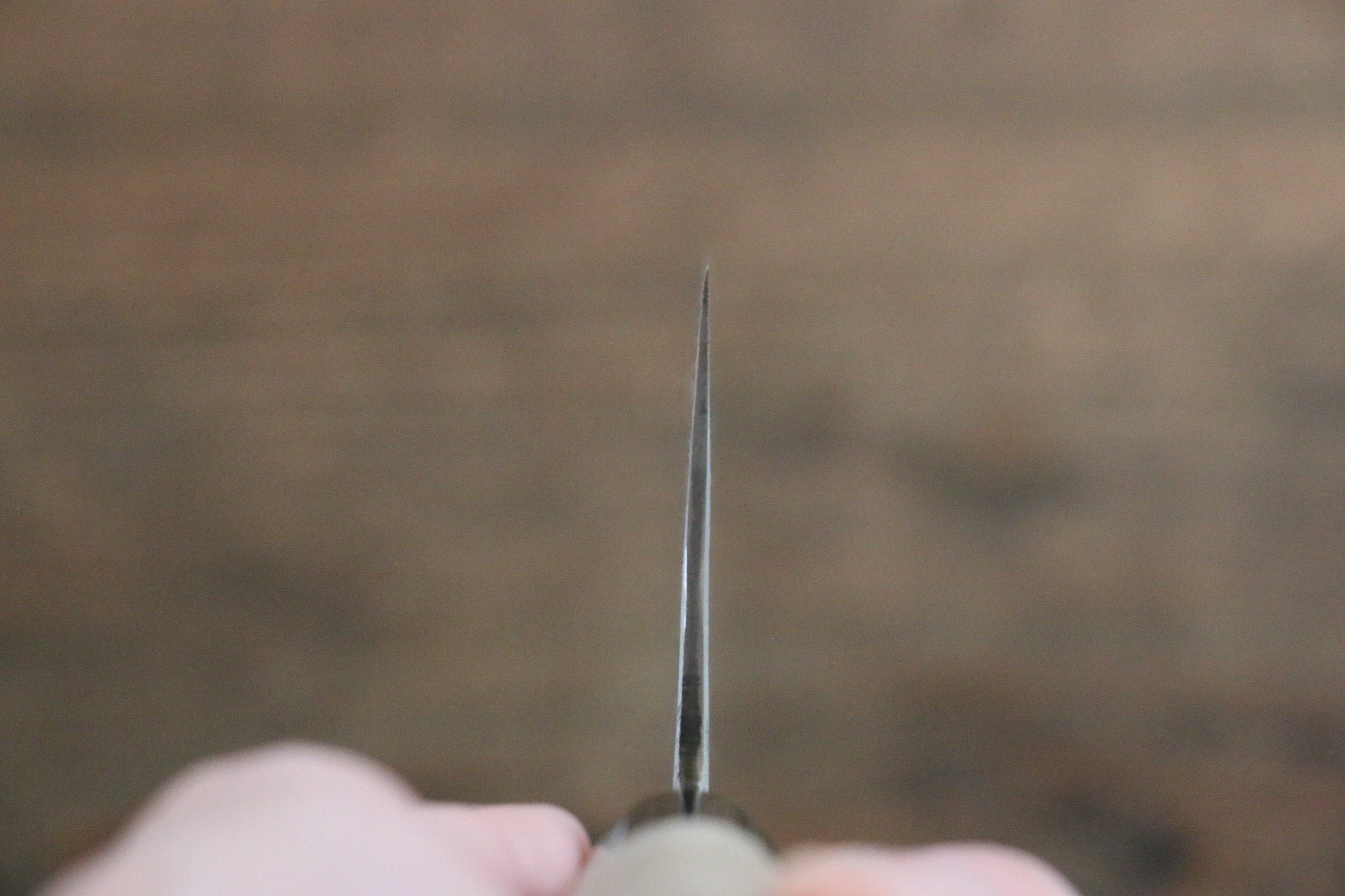 Fujiwara Teruyasu White Steel No.1 Nashiji Santoku 180mm with Magnolia Handle - Japanny - Best Japanese Knife