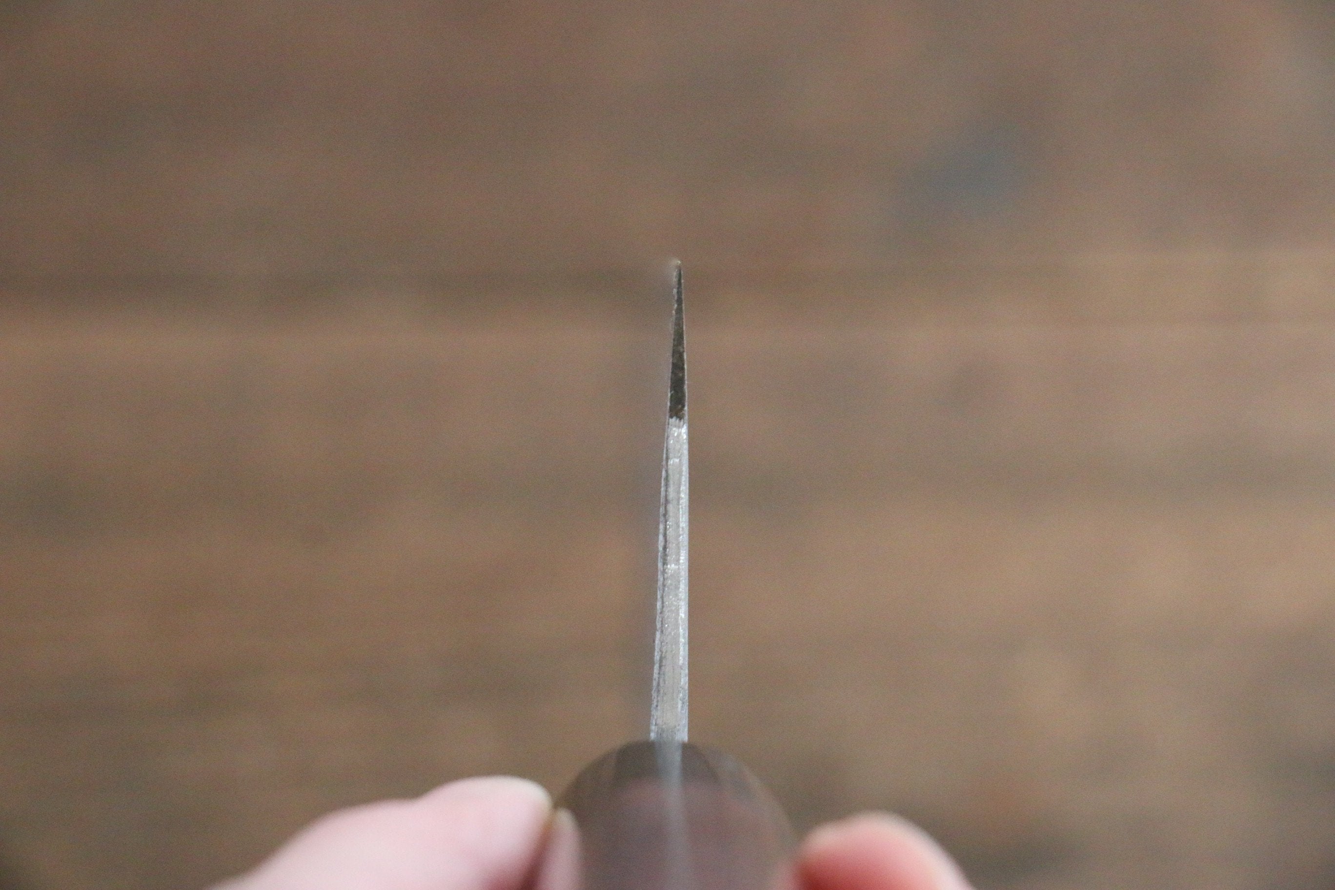 Fujiwara Teruyasu White Steel No.1 Nashiji Santoku 165mm with shitan Handle - Japanny - Best Japanese Knife