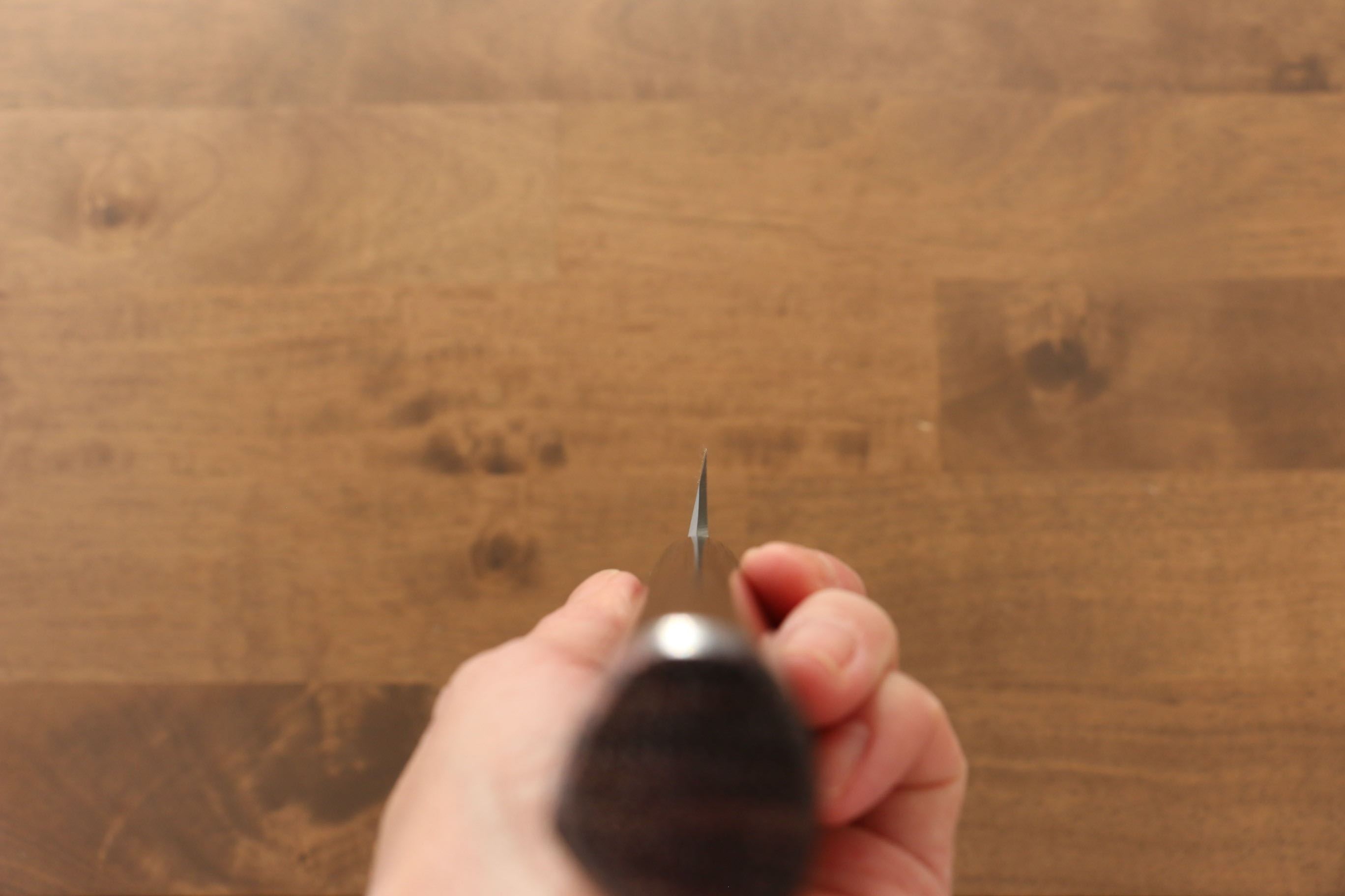 Jikko Silver Steel No.3 Yanagiba 270mm Shitan Handle - Japanny - Best Japanese Knife