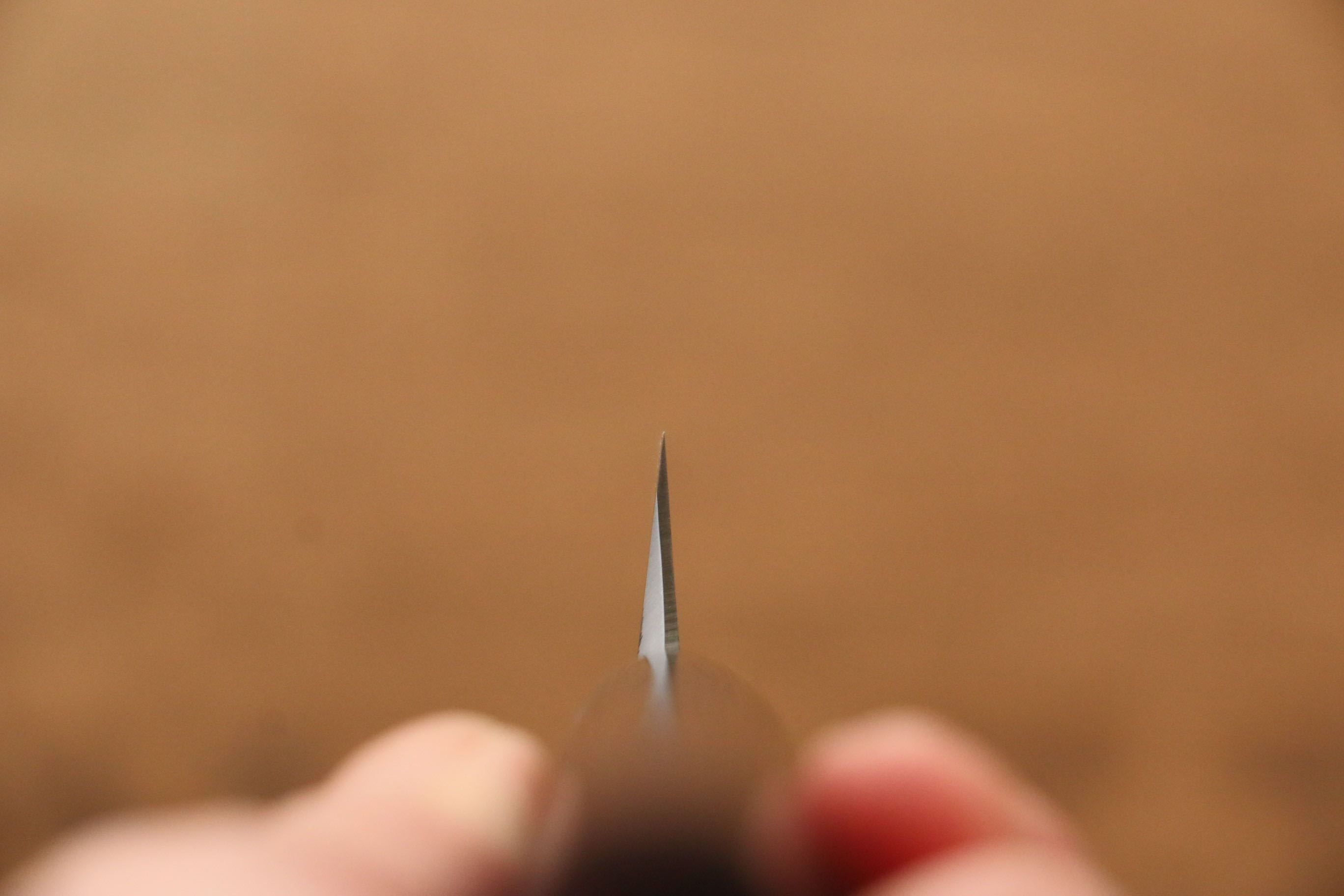 Jikko Silver Steel No.3 Yanagiba 210mm Shitan Handle - Japanny - Best Japanese Knife