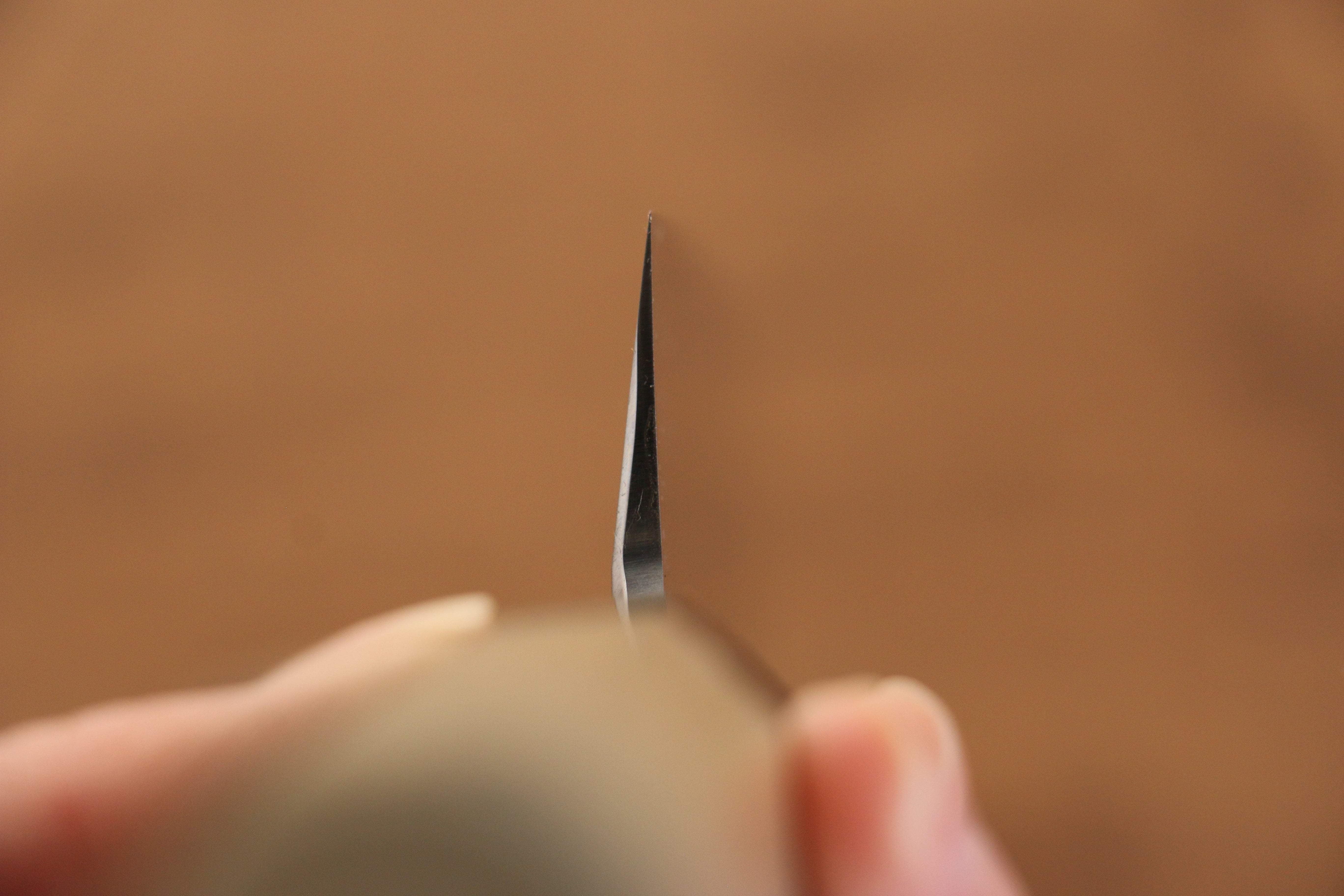 Jikko Arata White Steel No.2 Gyuto 210mm Magnolia Handle - Japanny - Best Japanese Knife