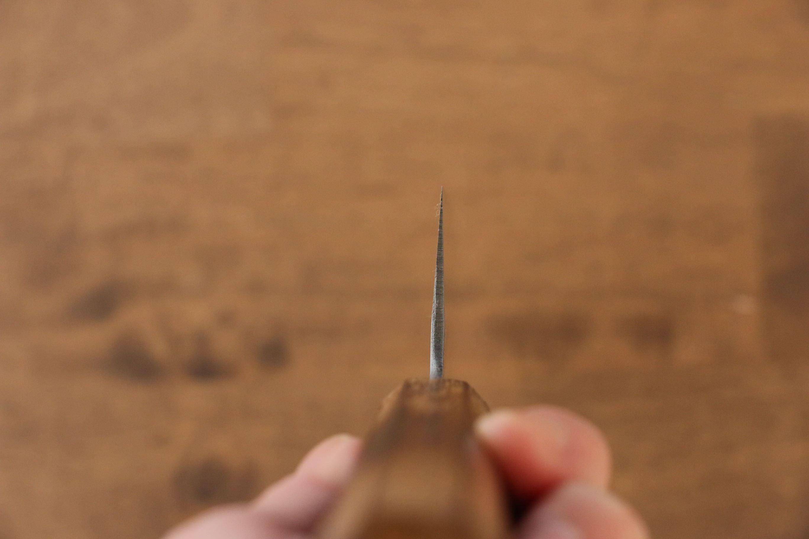 Seisuke White Steel No.2 Gyuto 210mm Burnt Oak (Mehakkaku) Handle - Japanny - Best Japanese Knife