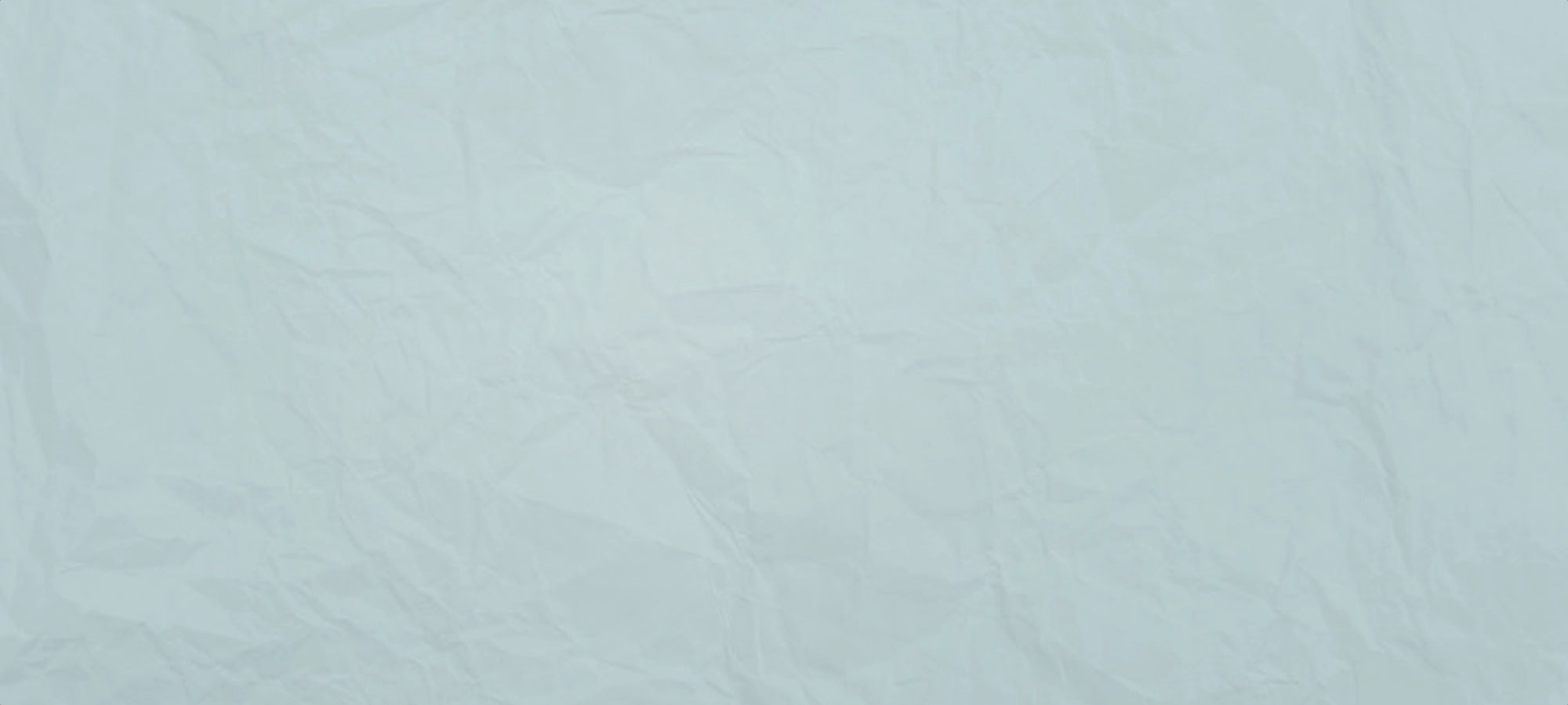 Serrated Bread Knives