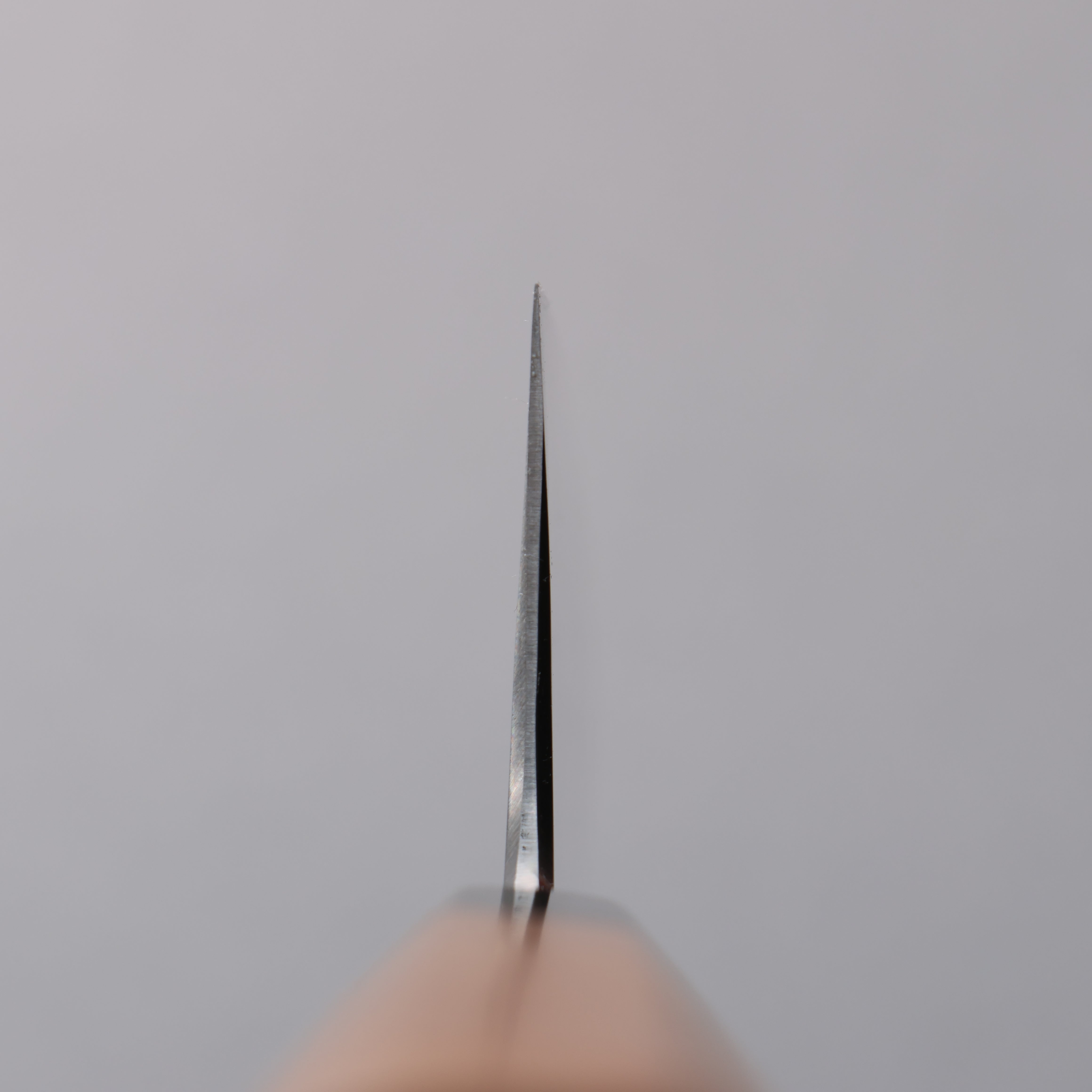 Tessen by Tanaka Tamahagane Gyuto  210mm Wild Cherry Handle - Japanny - Best Japanese Knife