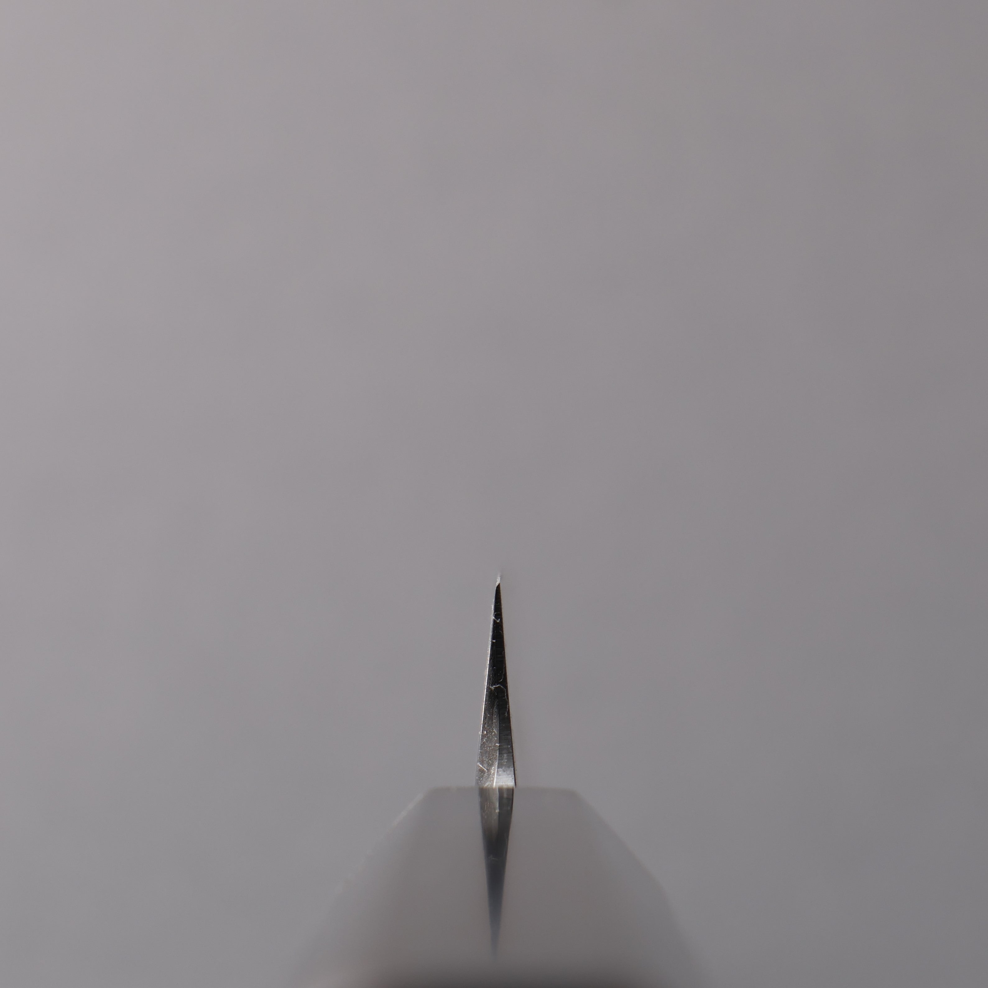 Tessen by Tanaka Tamahagane Sakimaru Yanagiba  240mm Ebony Wood Handle with Sheath - Japanny - Best Japanese Knife