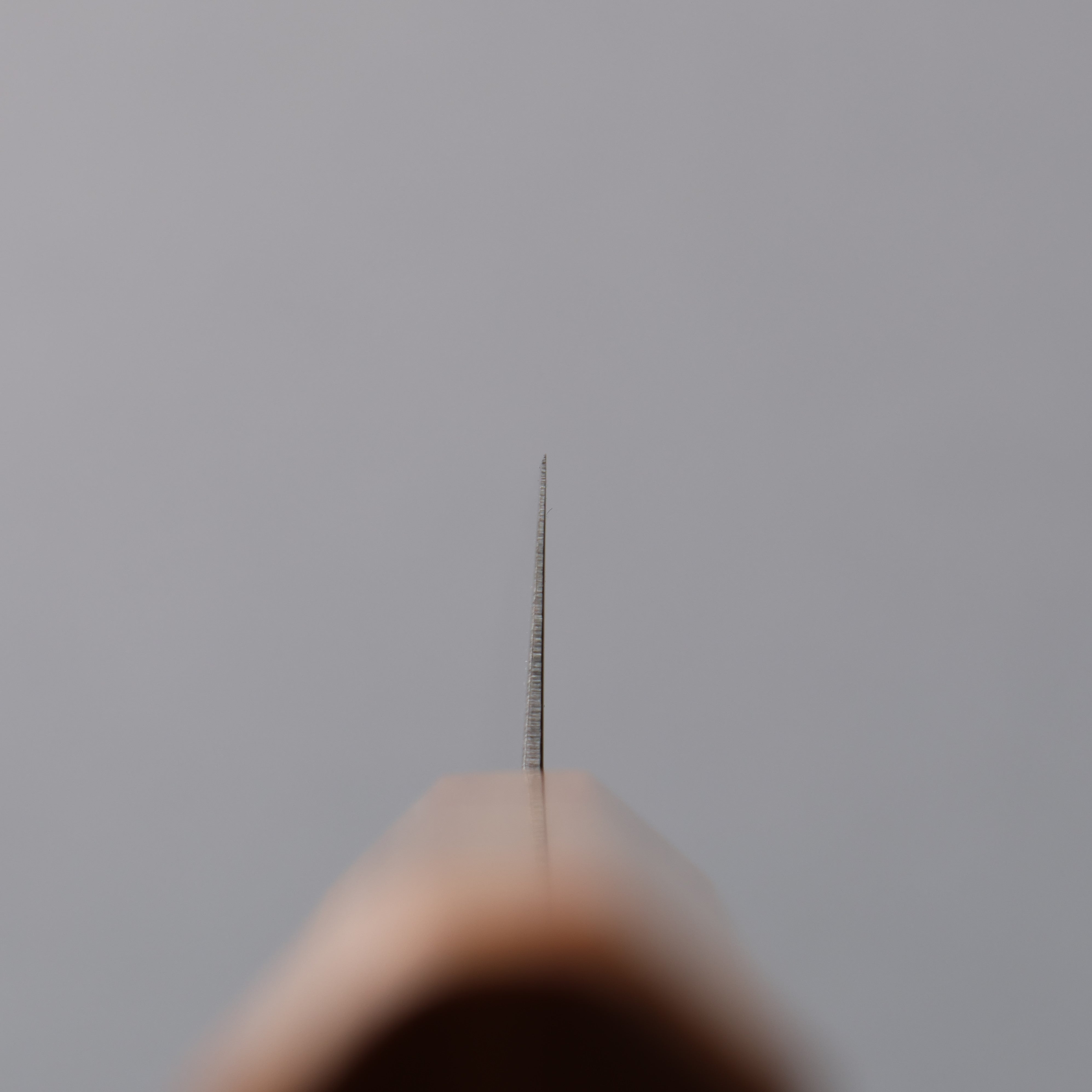 Seisuke SG2 Kiritsuke Petty-Utility  150mm White wood (With Red Ring) Handle - Japanny - Best Japanese Knife