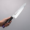 Sakai Takayuki Rinnou VG10 33 Layer Damascus Gyuto 210mm Purple Lacquered Handle - Japanny - Best Japanese Knife