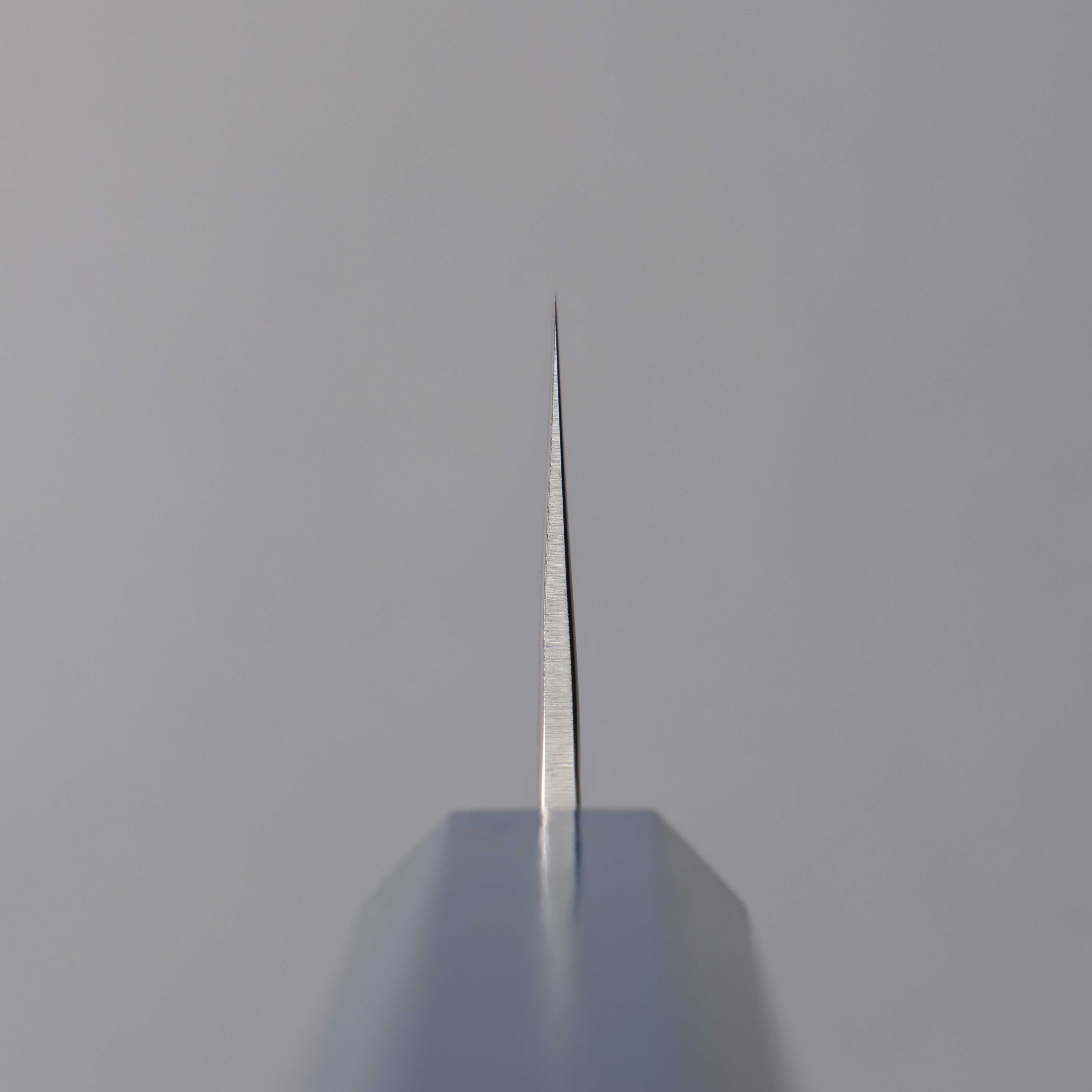 Sakai Takayuki VG10 33 Layer Damascus Kengata Santoku 160mm Live oak Lacquered (Saiseki) Handle - Japanny - Best Japanese Knife