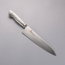  Sakai Takayuki INOX PRO Molybdenum Gyuto 210mm - Japanny - Best Japanese Knife