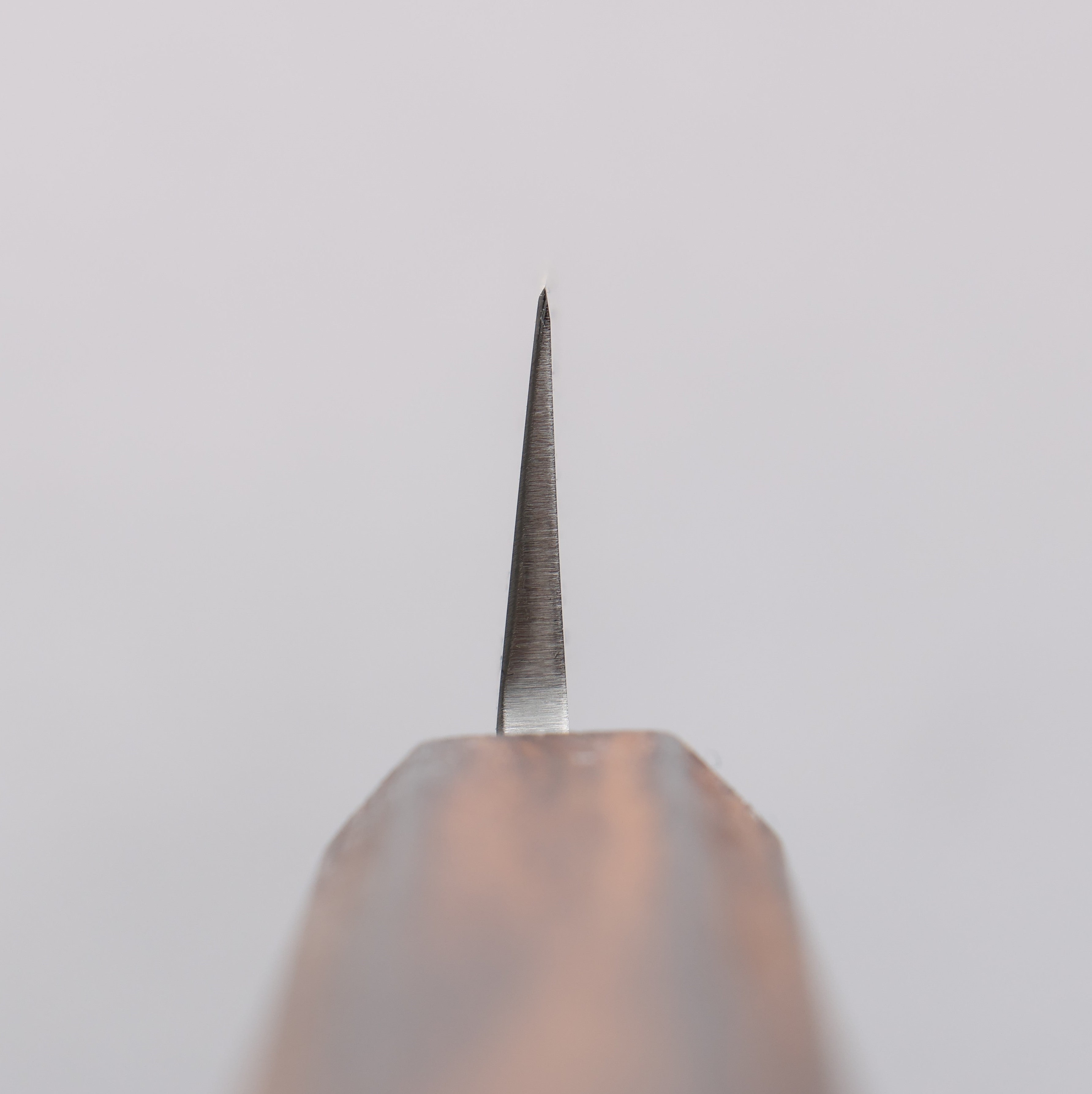 Seisuke AUS8 Yanagiba  270mm Oak Handle - Japanny - Best Japanese Knife