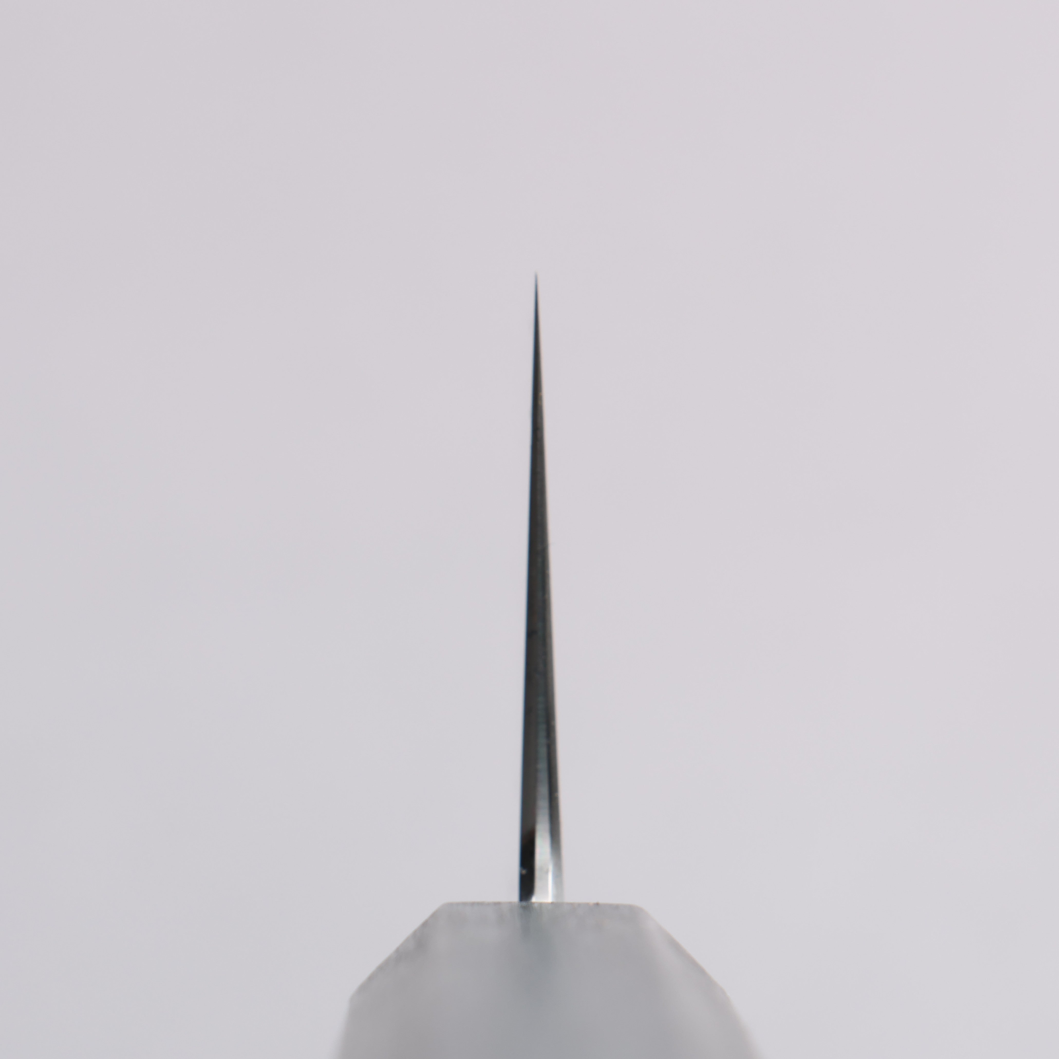 Naohito Myojin SG2 Kasumitogi Kiritsuke Gyuto  240mm Oak (Indigo Dyed) Handle - Japanny - Best Japanese Knife