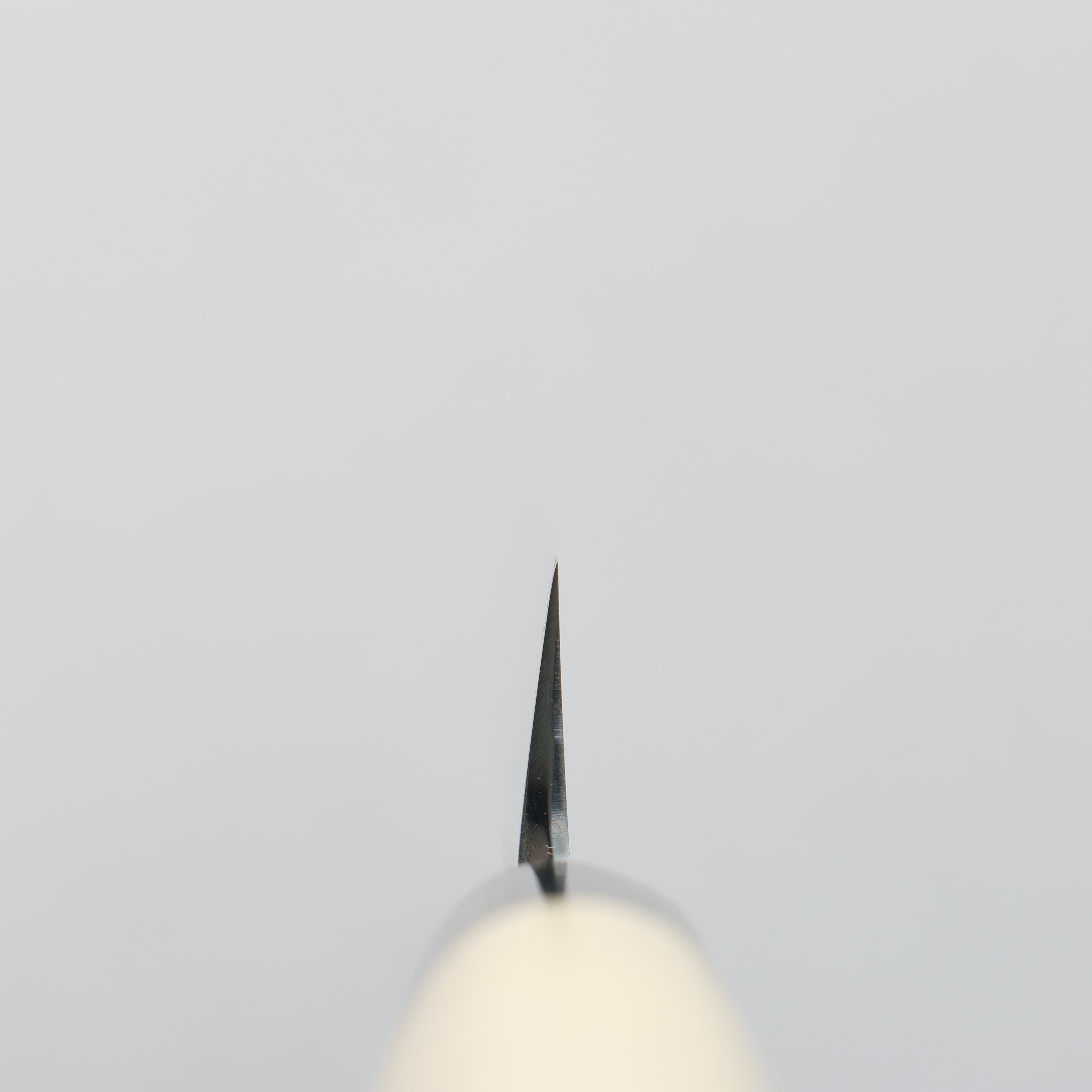 Sakai Takayuki Blue Steel No.2 Fuguhiki 270mm Magnolia Handle - Japanny - Best Japanese Knife