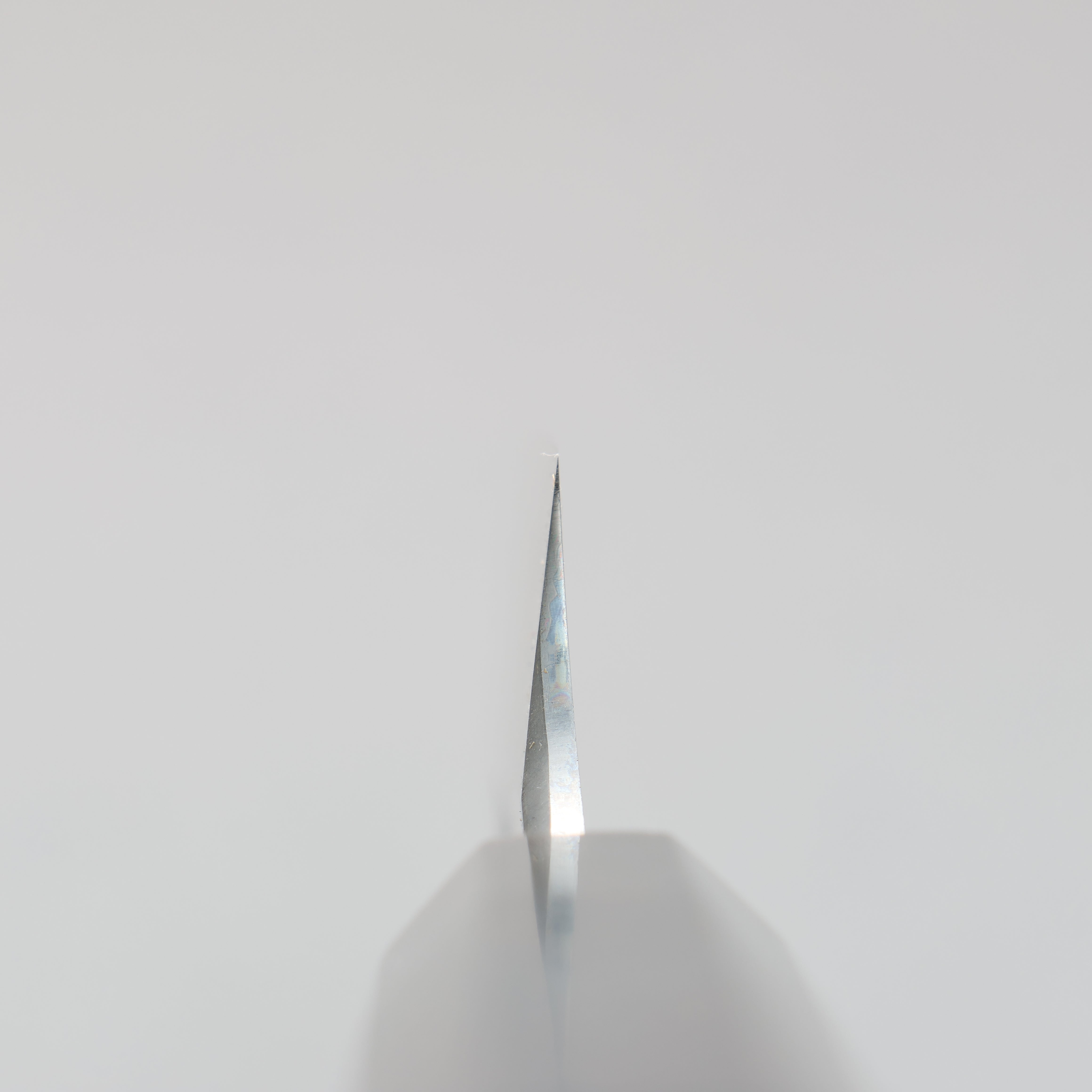 Sakai Takayuki Seiryu Blue Steel No.2 Kiritsuke Yanagiba 300mm with Sheath - Japanny - Best Japanese Knife