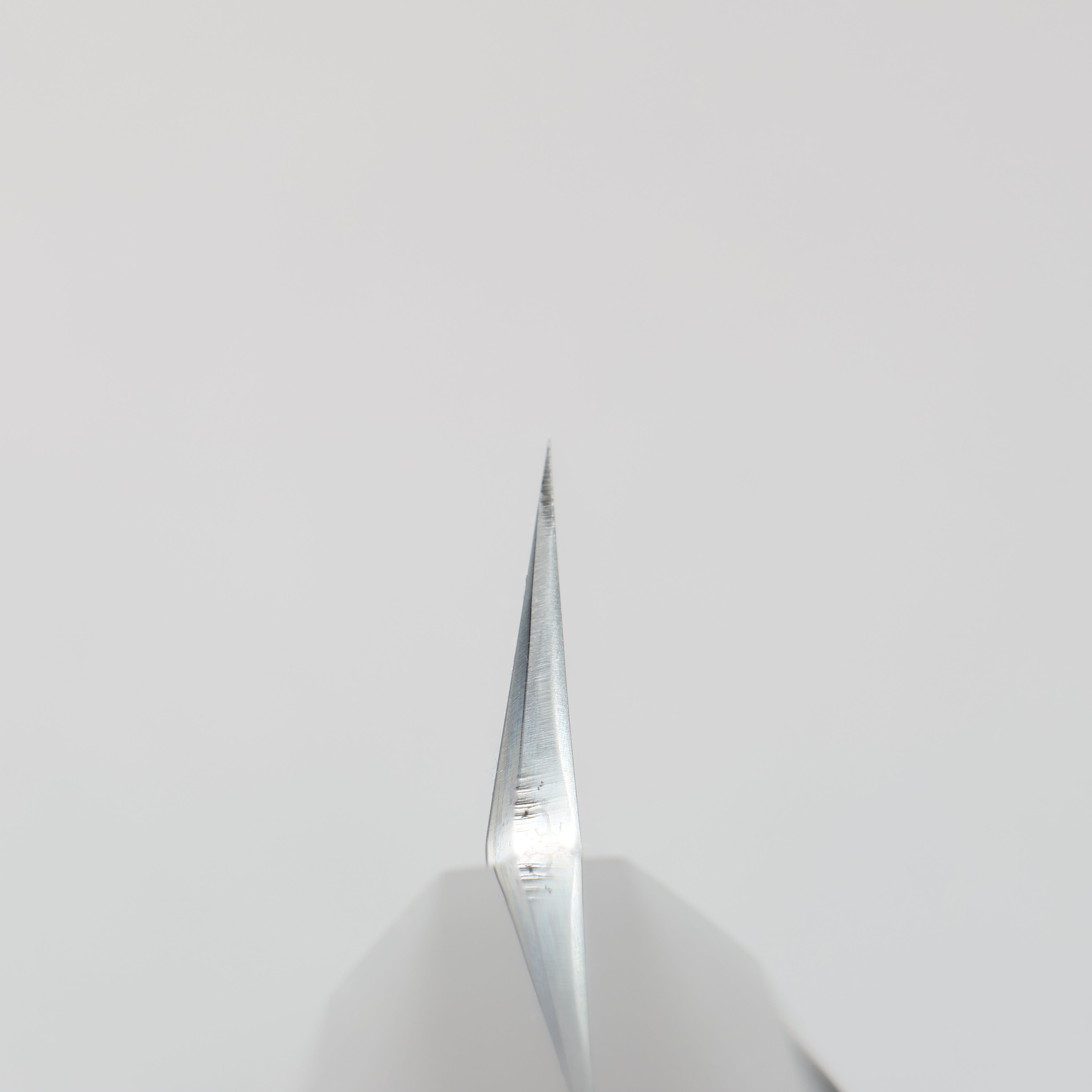 Sakai Takayuki Genbu Blue Steel No.2 Mirrored Finish Sakimaru Yanagiba 300mm Ebony Wood Handle - Japanny - Best Japanese Knife