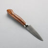 Shigeki Tanaka (No engraving) SG2 Damascus Paring  95mm Ironwood Handle - Japanny - Best Japanese Knife