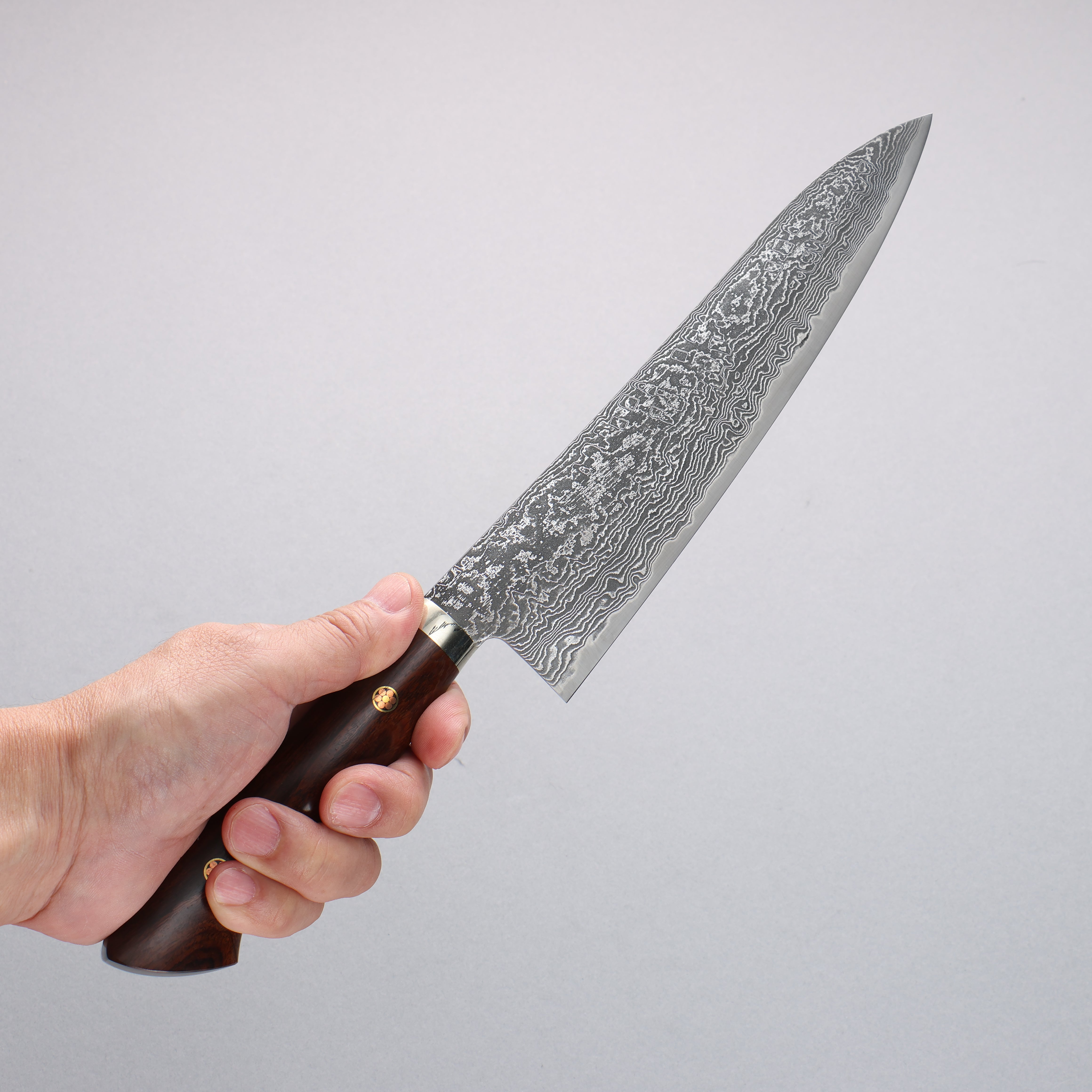 Shigeki Tanaka SG2 Damascus Gyuto 210mm Ironwood Handle - Japanny - Best Japanese Knife