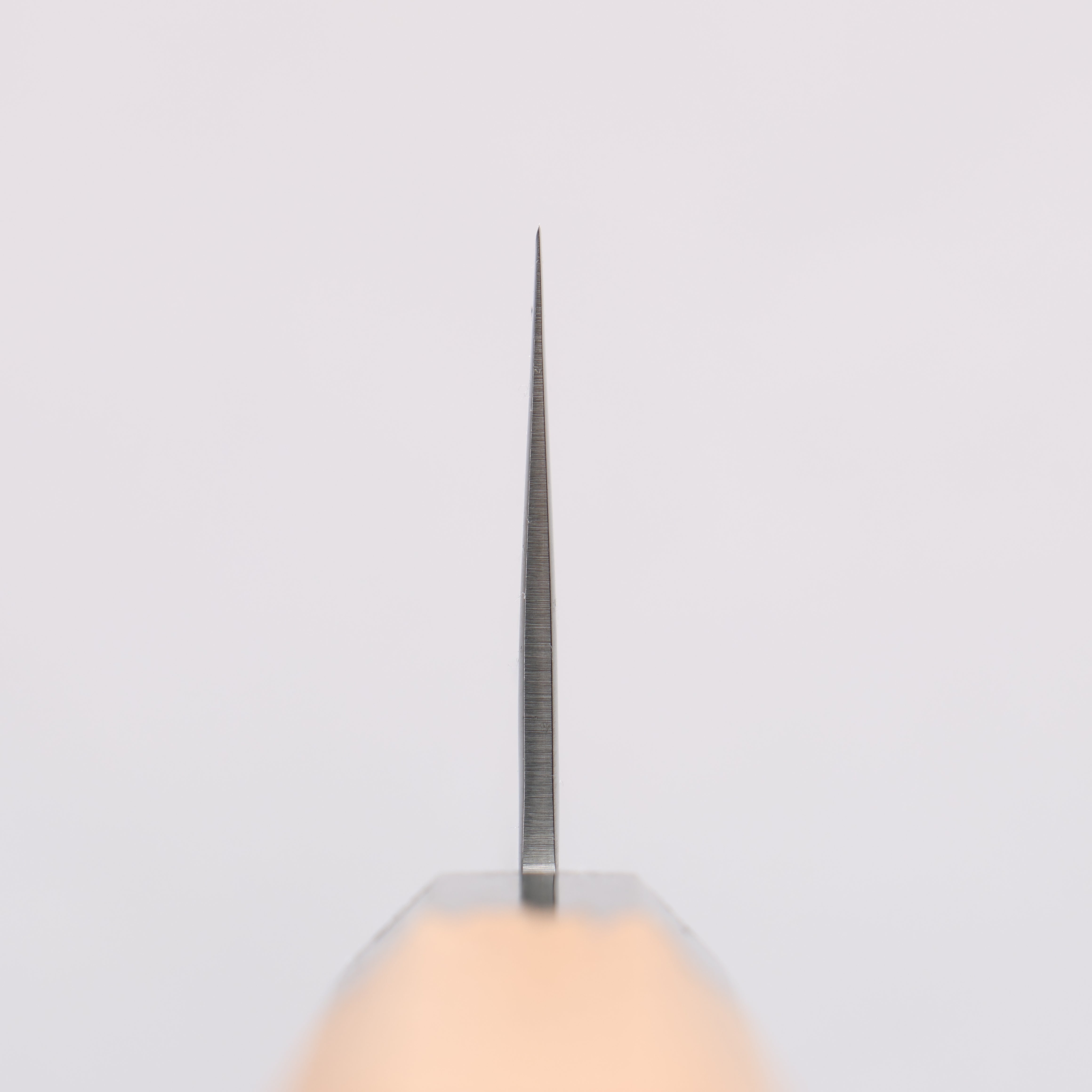 Sakai Takayuki VG10 33 Layer Damascus Gyuto 240mm Live oak Lacquered (Kokushin) Handle - Japanny - Best Japanese Knife