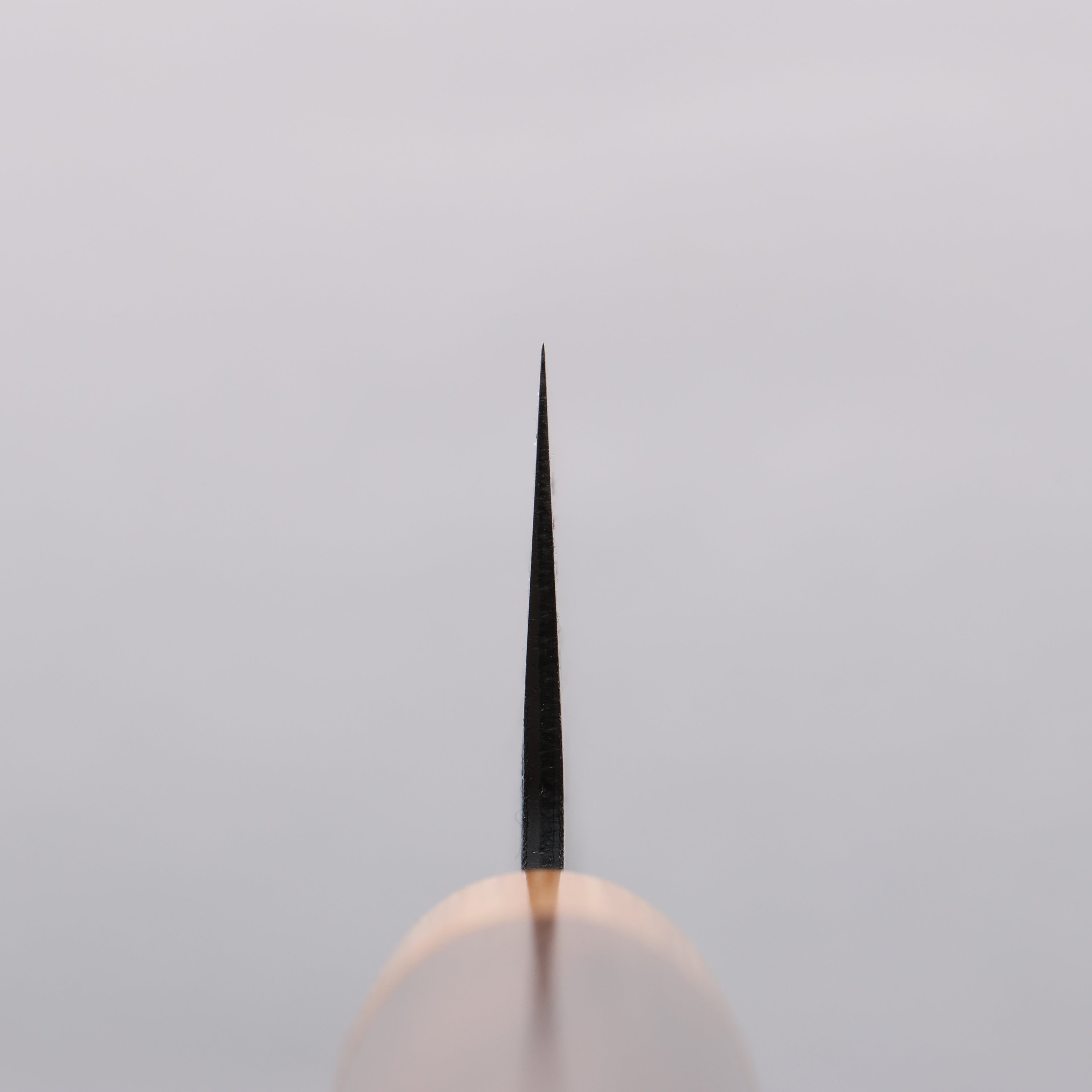 Seisuke Blue Super Black Nashiji Bunka 170mm Rosewood (Ferrule: White Pakka Wood) Handle - Japanny - Best Japanese Knife