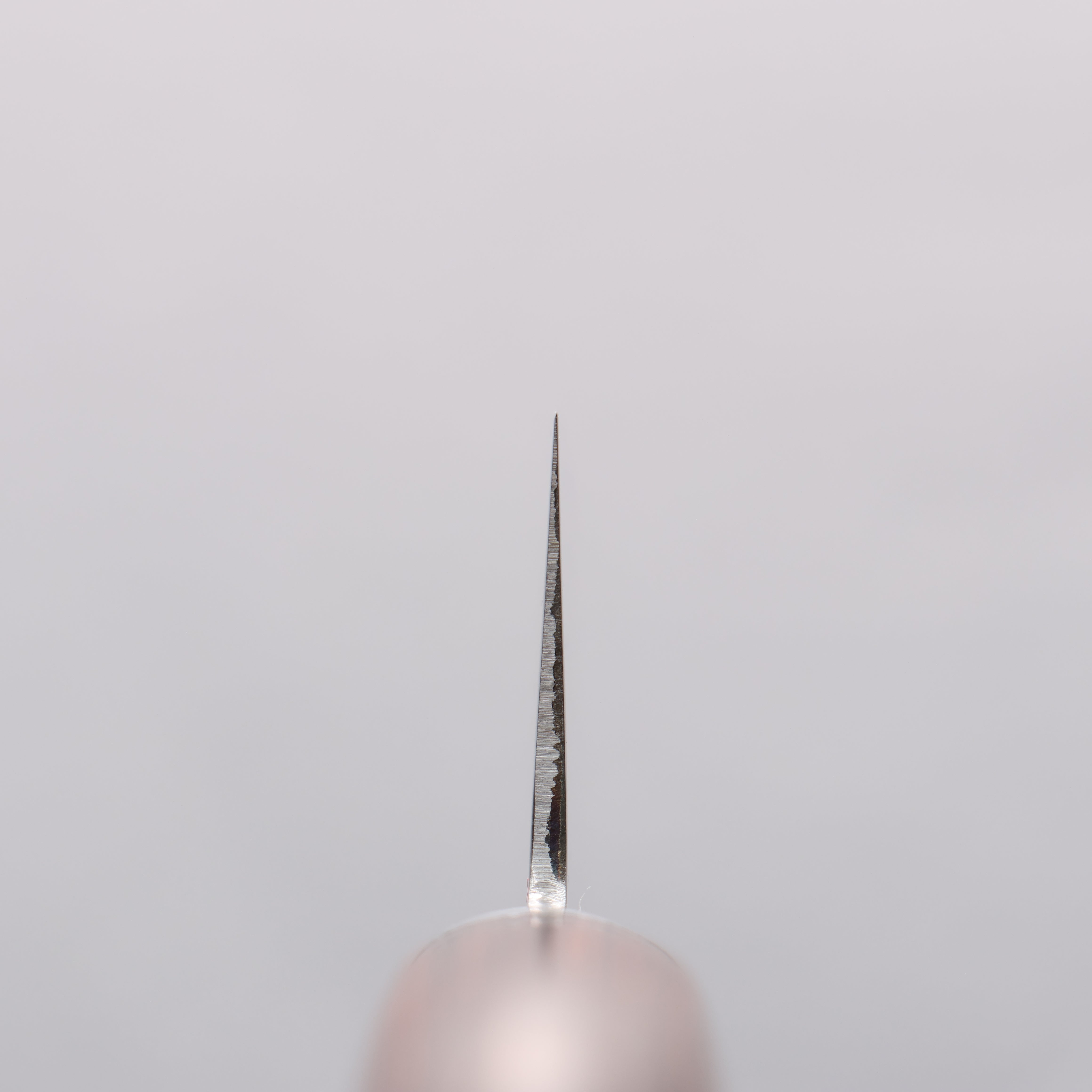 Seisuke VG1 Kasumitogi Gyuto 180mm Mahogany Handle - Japanny - Best Japanese Knife