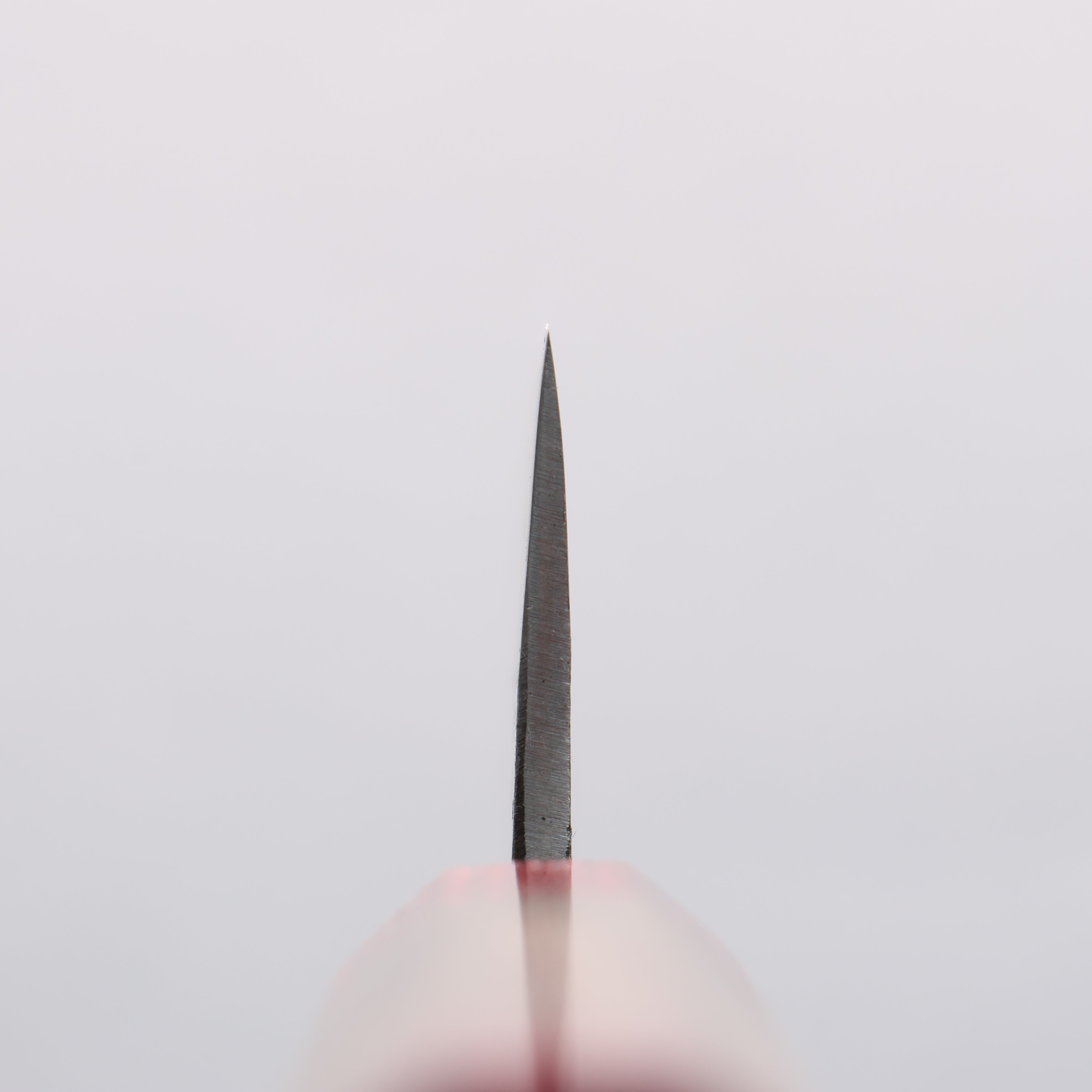 Seisuke Kurumi Blue Steel Kurouchi Bunka 180mm Walnut (With Double Red Pakka wood) Handle - Japanny - Best Japanese Knife