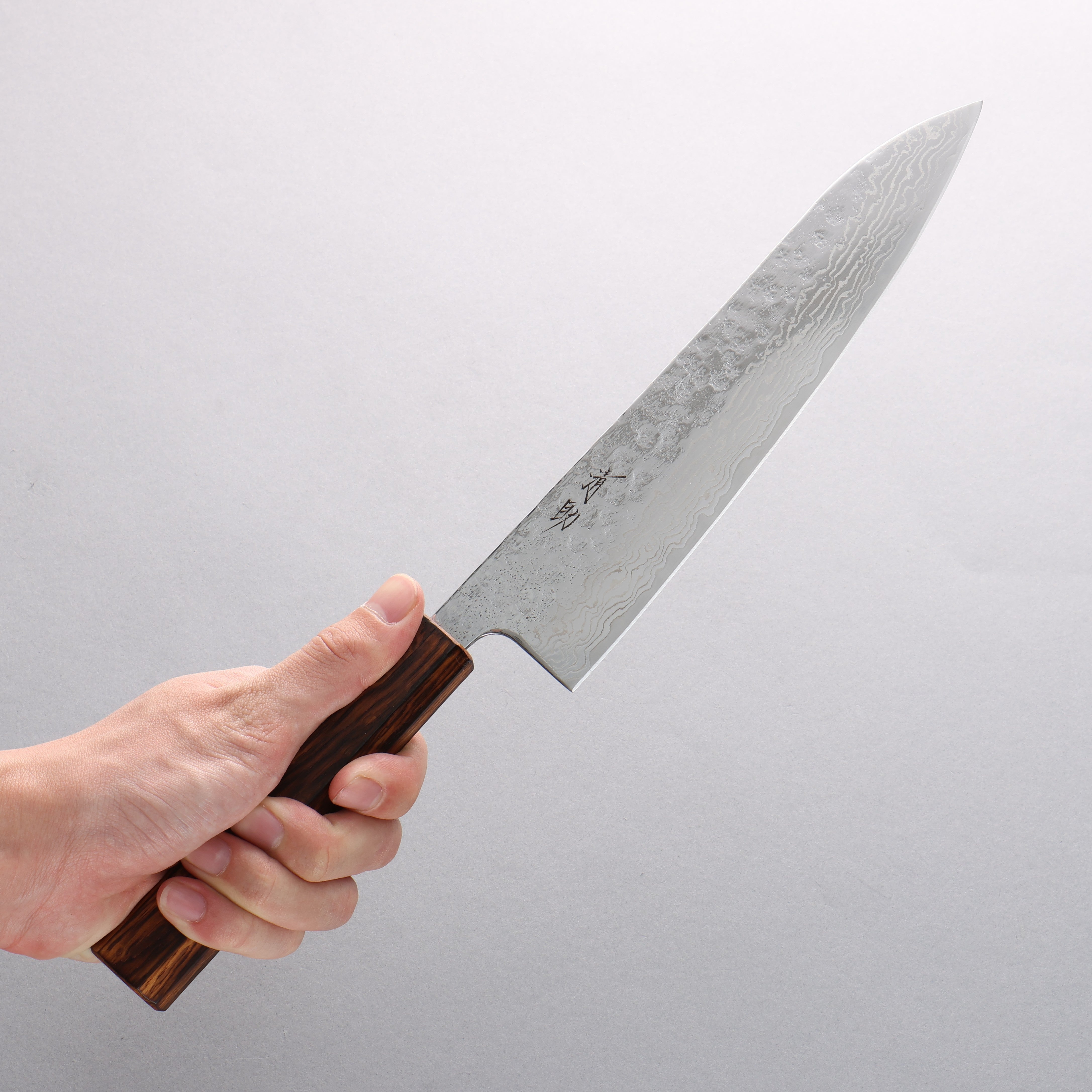 Seisuke Stainless Steel 440C Hammered Damascus Migaki Finished Gyuto 210mm Oak Handle - Japanny - Best Japanese Knife