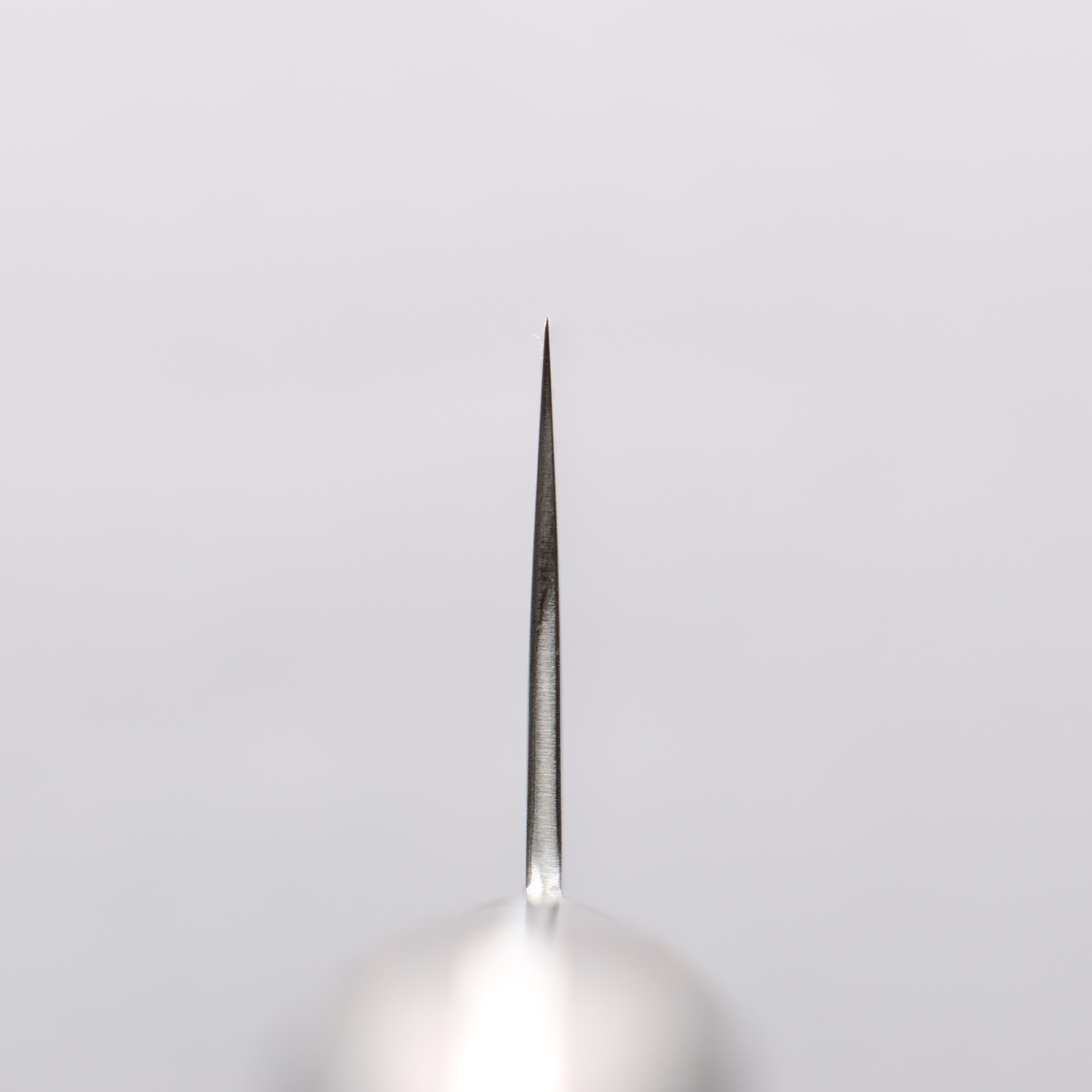 Seisuke VG10 33 Layer Mirrored Finish Damascus Gyuto 240mm Brown Pakka wood Handle - Japanny - Best Japanese Knife