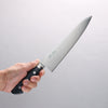 Seisuke Seiten Molybdenum Gyuto 210mm Navy blue Pakka wood Handle - Japanny - Best Japanese Knife