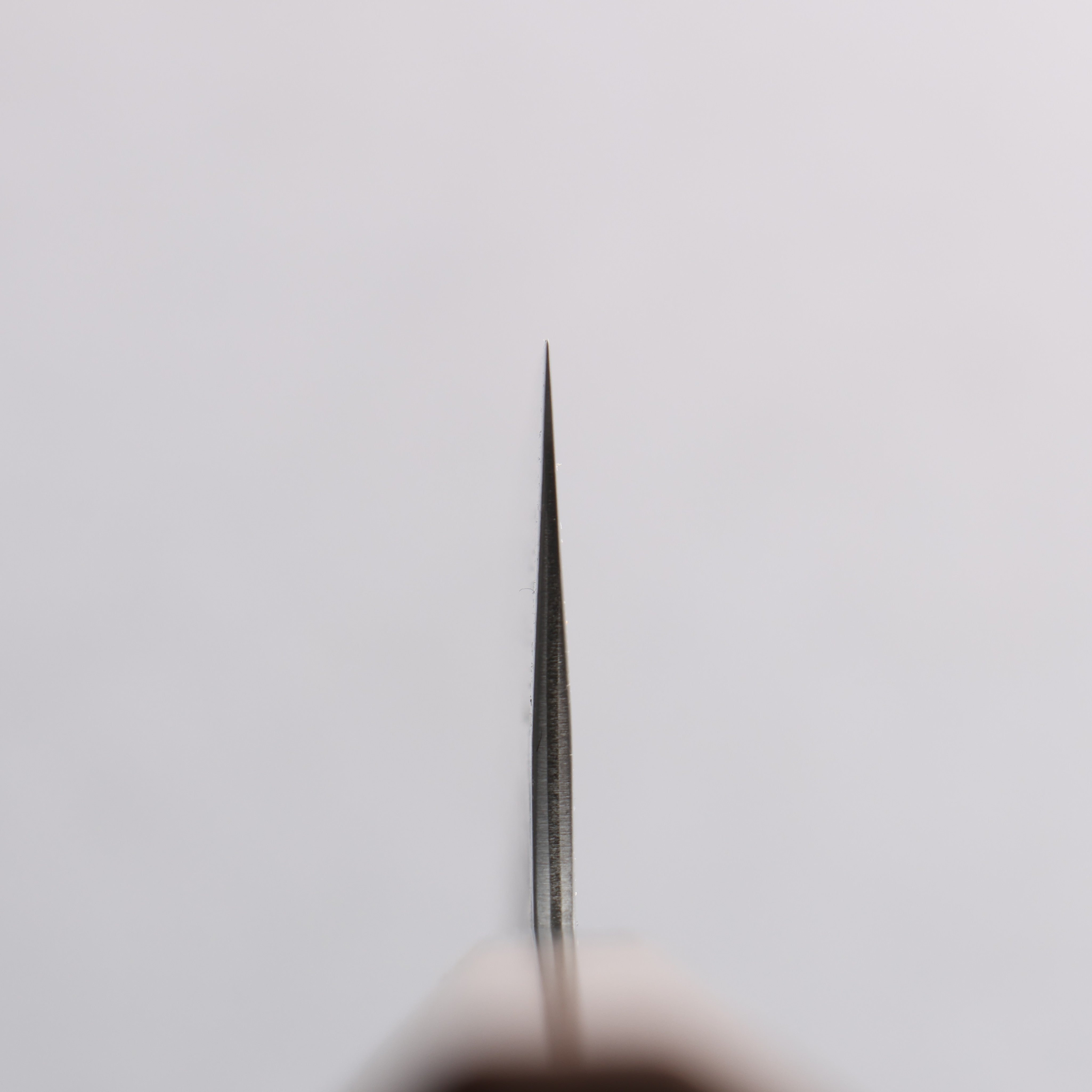 Seisuke AUS10 Hammered Damascus Santoku 165mm Walnut Handle - Japanny - Best Japanese Knife