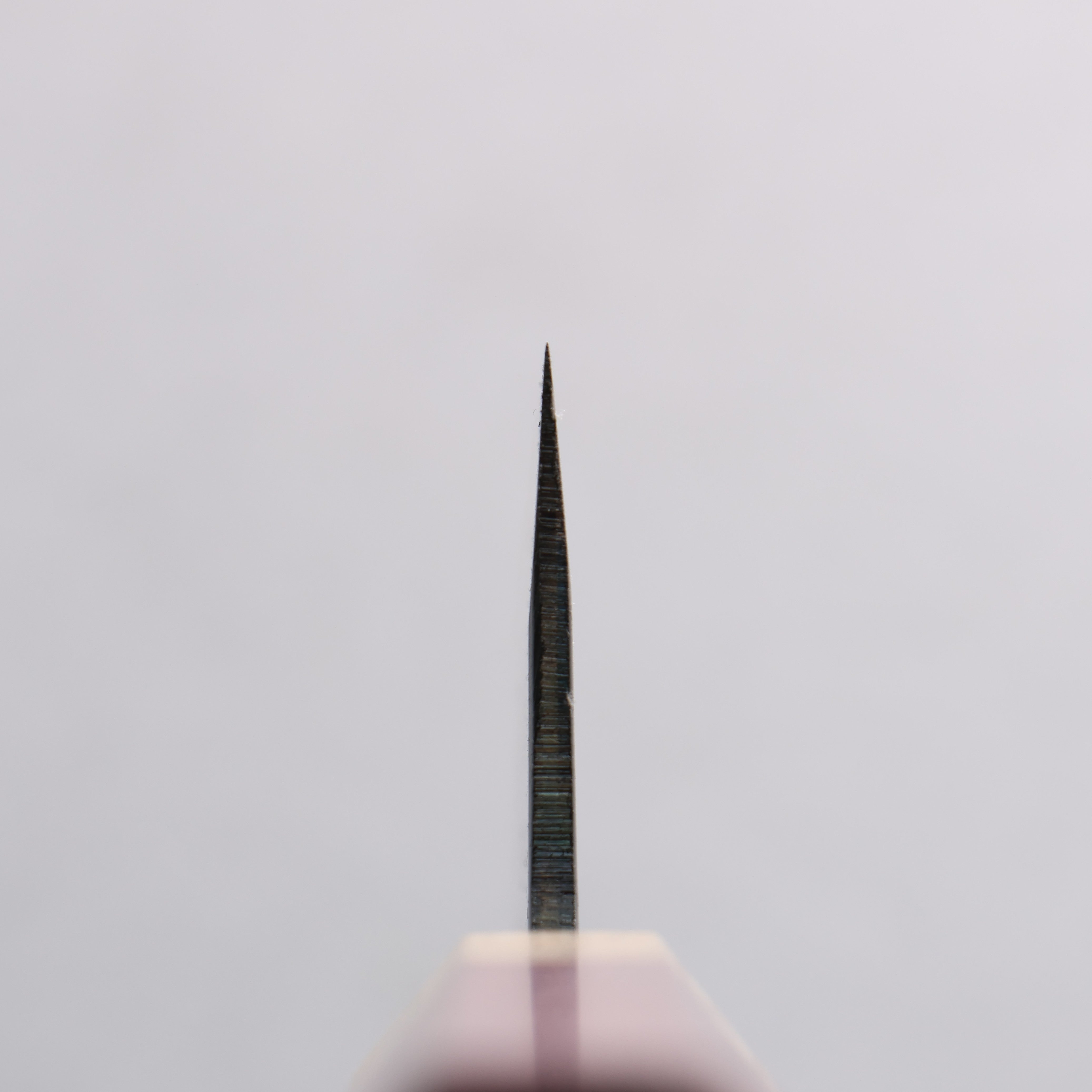 Seisuke Blue Super Black Finished Bunka 180mm Purpleheart (Ferrule: Oak) Handle - Japanny - Best Japanese Knife