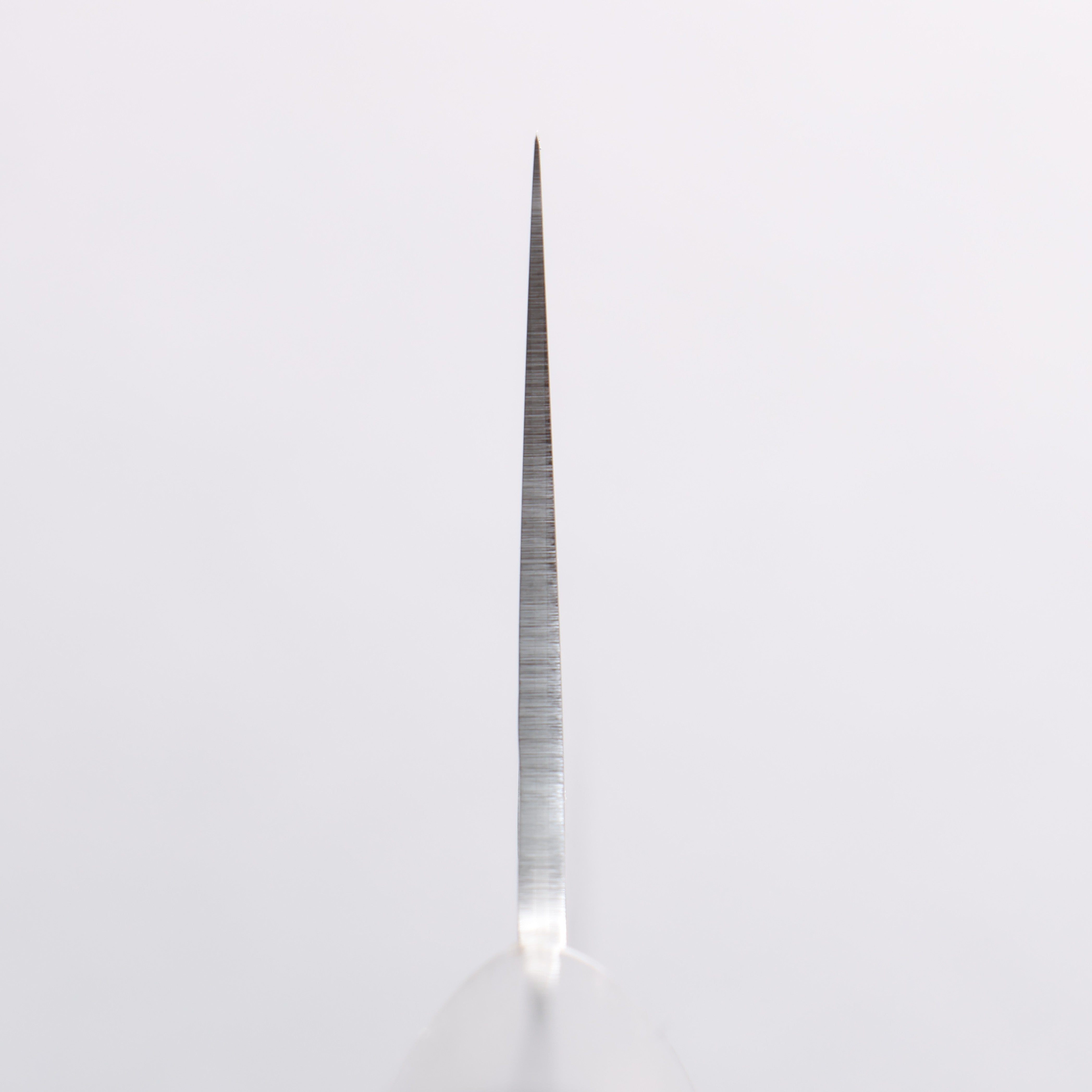 Seisuke VG10 Hammered Nakiri 180mm Charcoal Gray Pakka wood Handle - Japanny - Best Japanese Knife