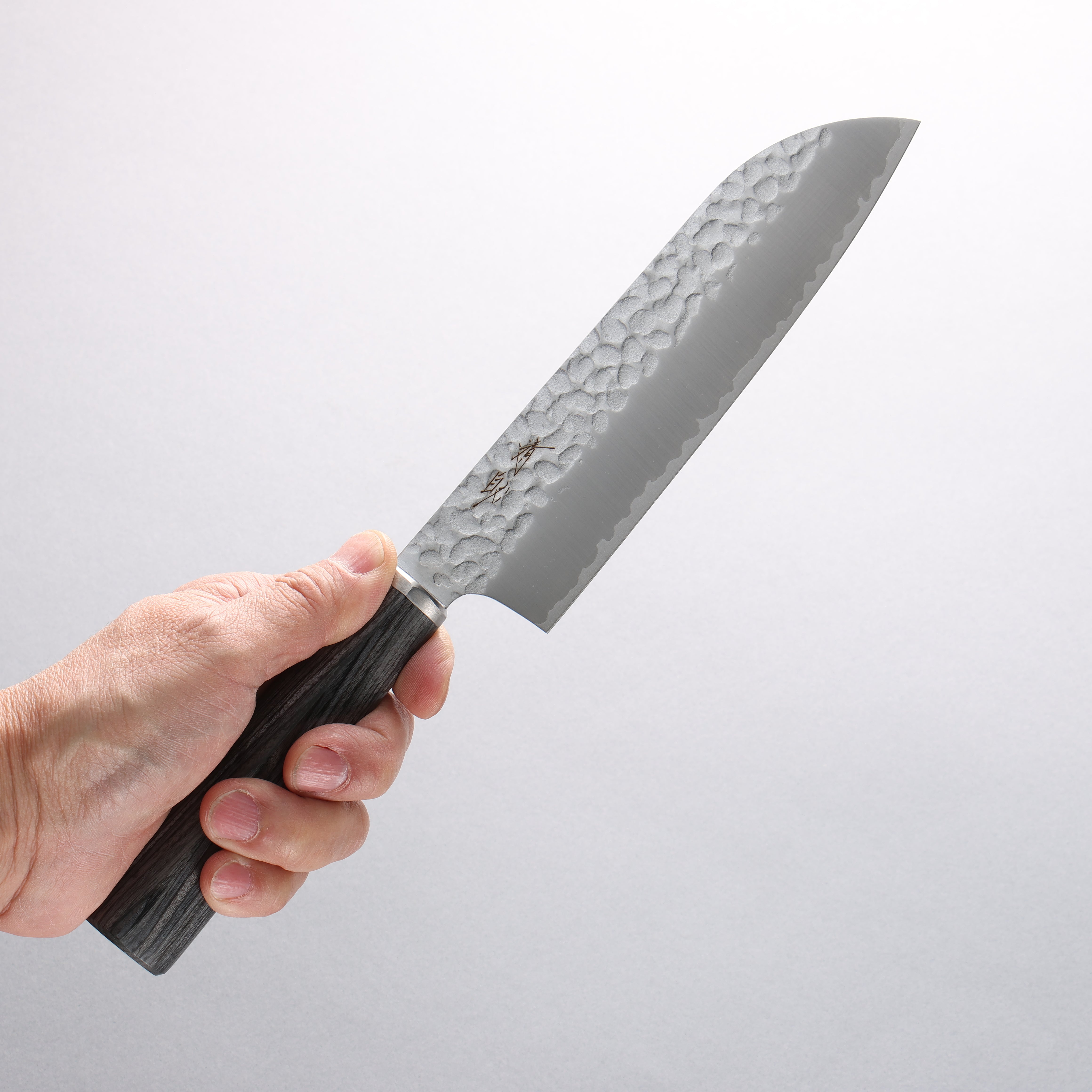 Seisuke VG10 Hammered Santoku 165mm Charcoal Gray Pakka wood Handle - Japanny - Best Japanese Knife