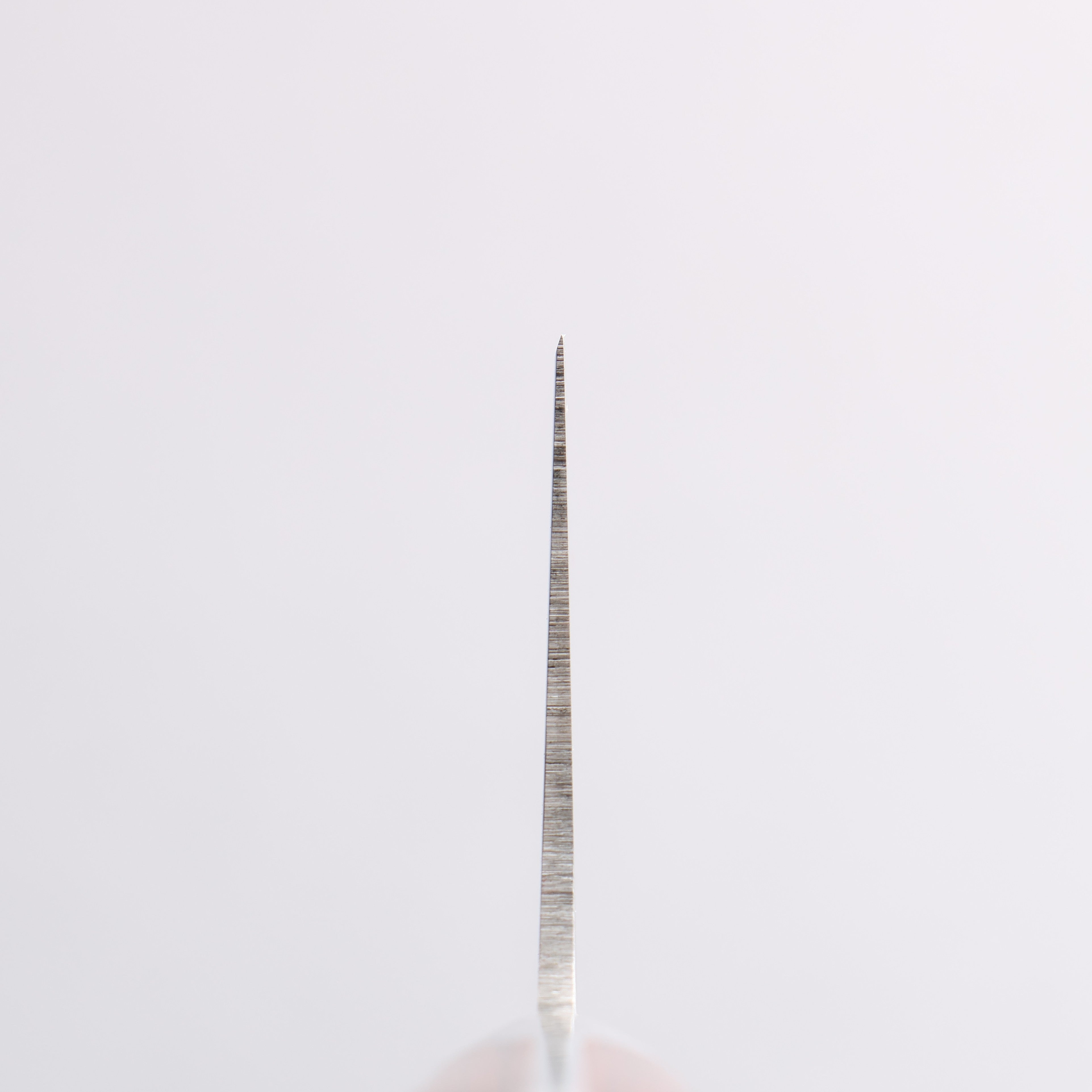 Seisuke Molybdenum Kiritsuke Santoku 195mm Mahogany Handle - Japanny - Best Japanese Knife