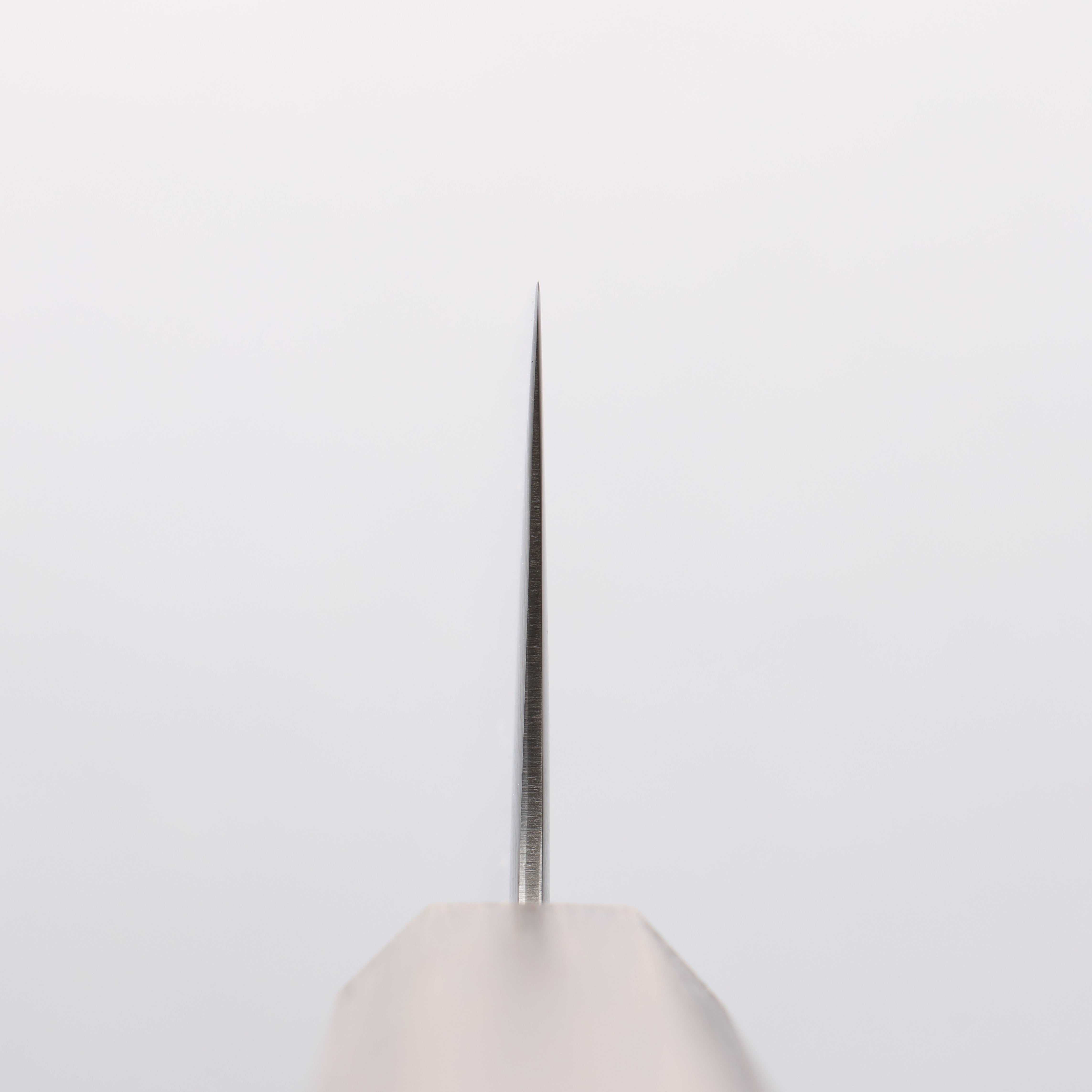 Seisuke Nami AUS10 Mirrored Finish Damascus Gyuto 210mm Oak Handle - Japanny - Best Japanese Knife