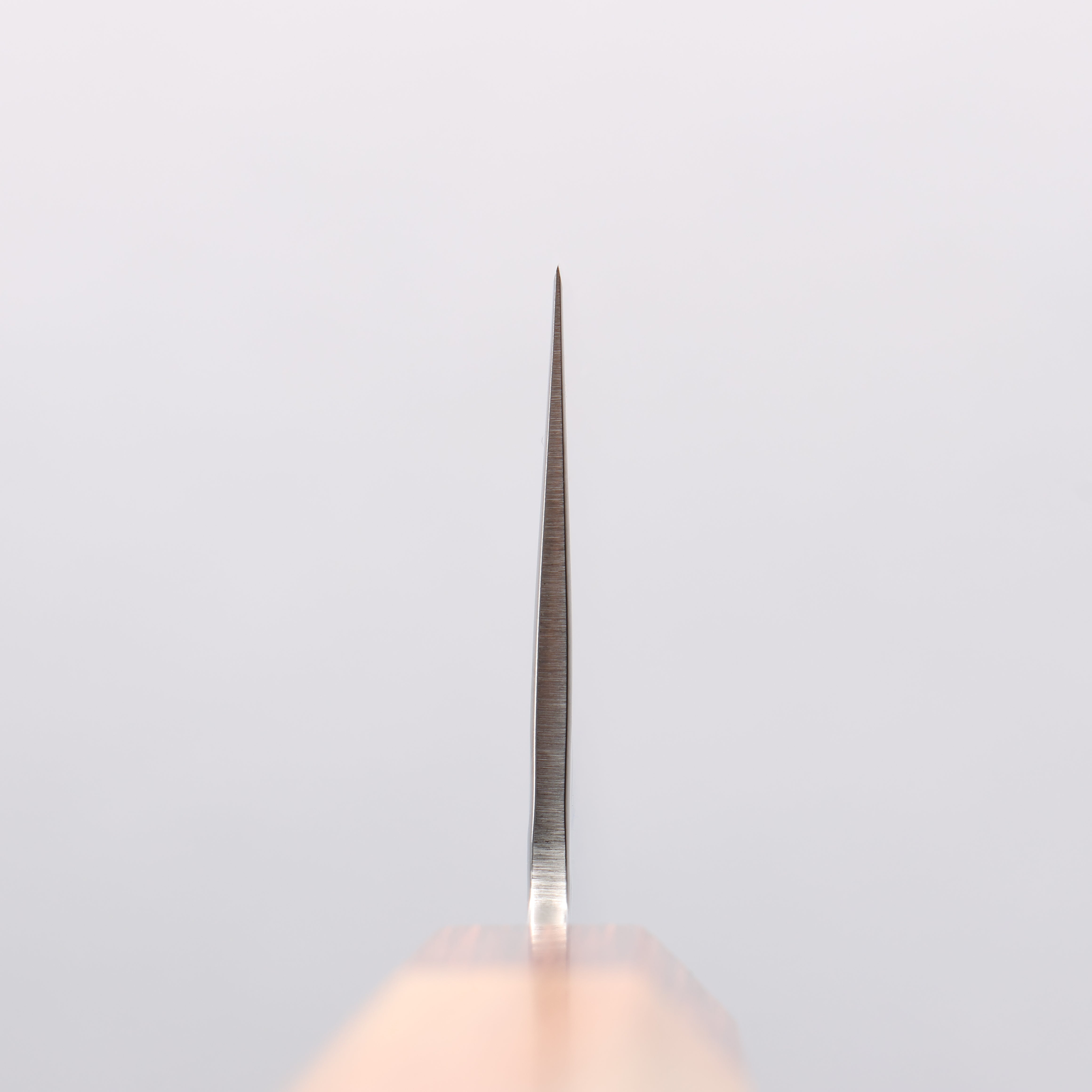 Sakai Takayuki VG10 33 Layer Damascus Gyuto 240mm Keyaki (Japanese Elm) Handle - Japanny - Best Japanese Knife