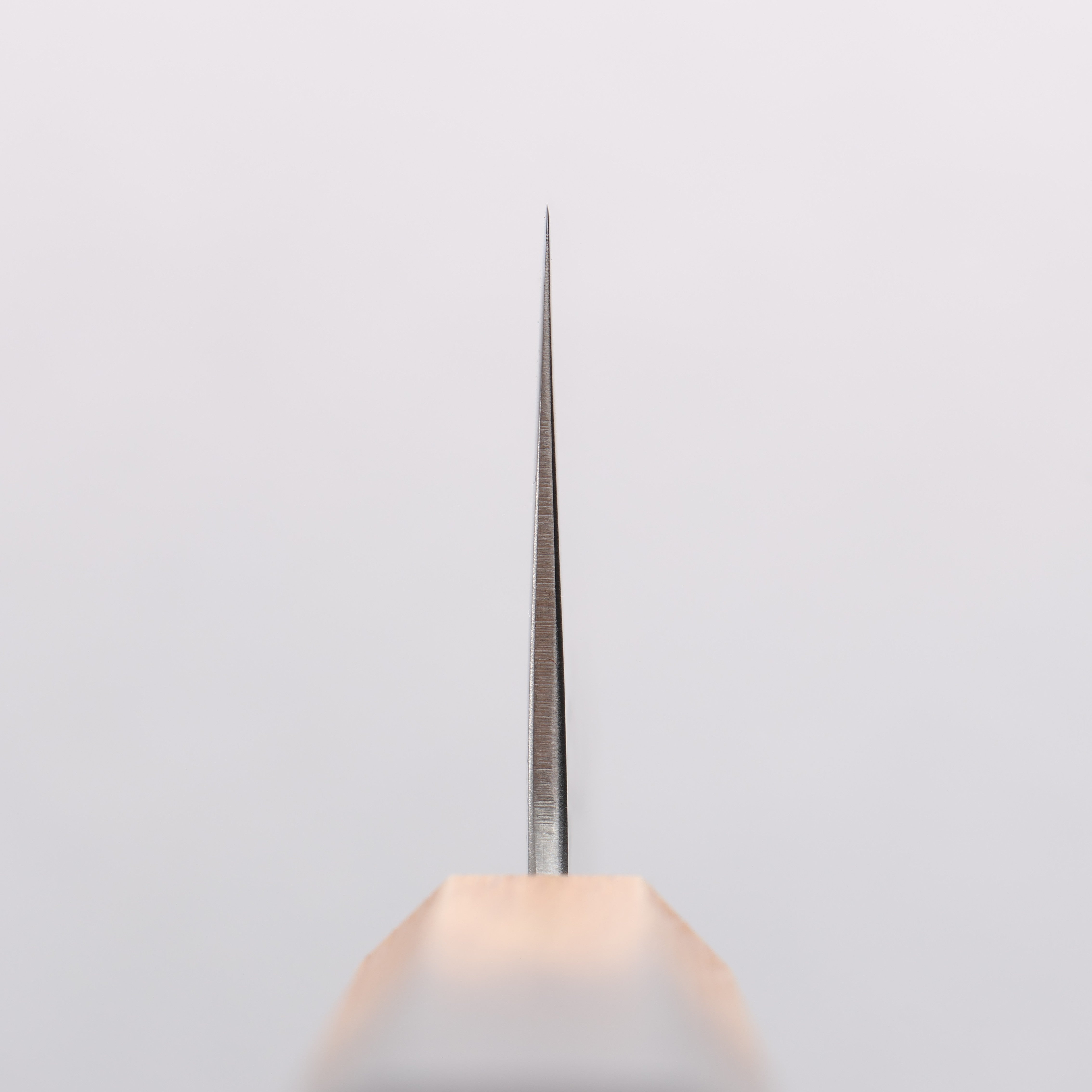 Seisuke SLD Washiji Nakiri 165mm Burnt Oak Handle - Japanny - Best Japanese Knife