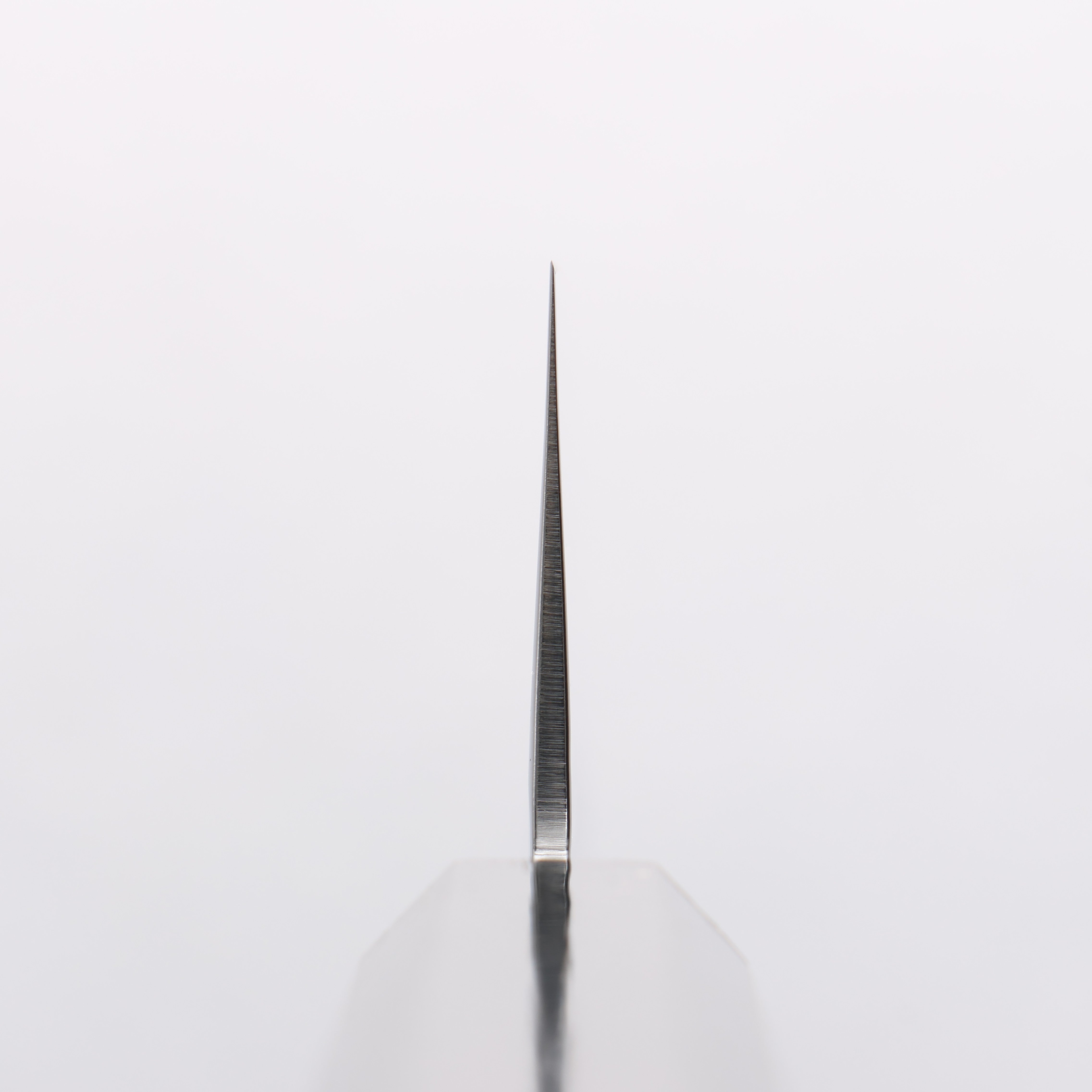 Sakai Takayuki VG10 33 Layer Damascus Santoku 170mm Live oak Lacquered (Saiu) Handle - Japanny - Best Japanese Knife